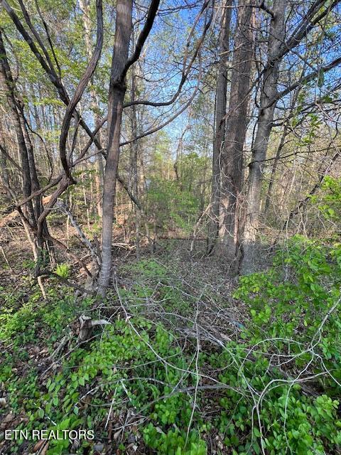 Pine Hollow Road Jacksboro TN 37757