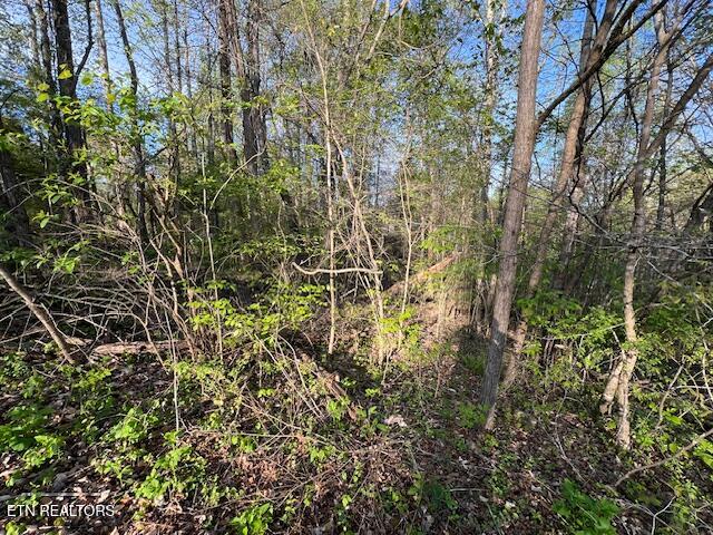 Pine Hollow Road Jacksboro TN 37757