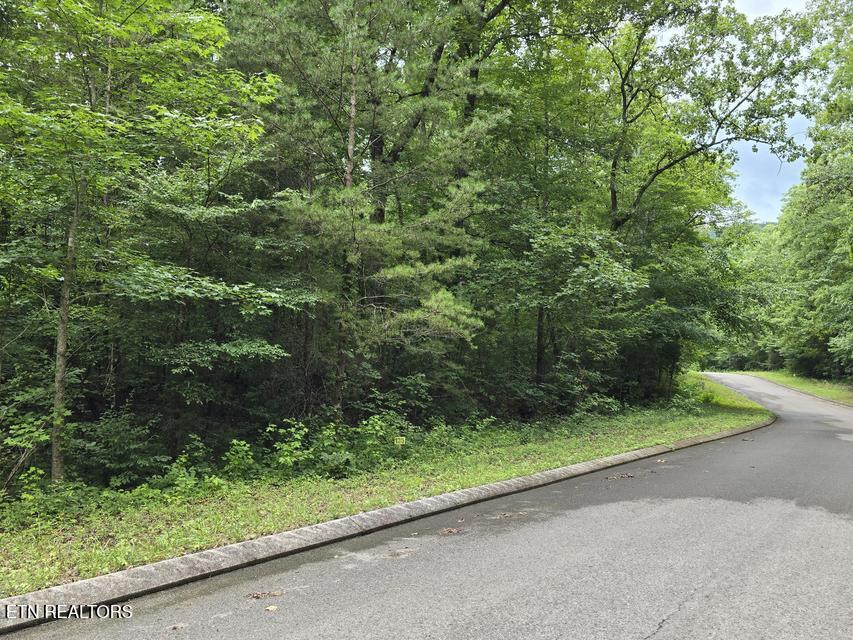Lot 135 Lower Brow Road Dunlap TN 37327