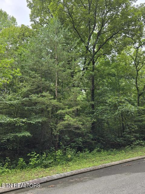 Lot 135 Lower Brow Road Dunlap TN 37327