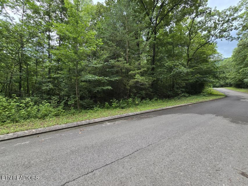 Lot 135 Lower Brow Road Dunlap TN 37327