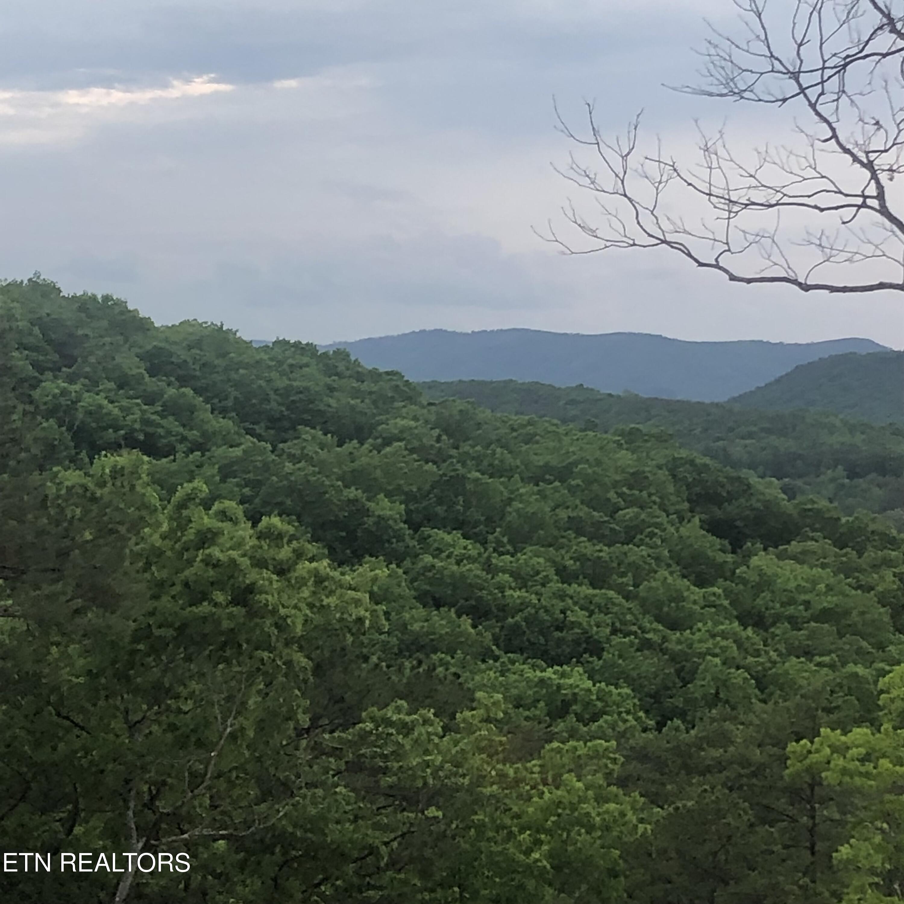125 Indian Ridge Drive Tellico Plains TN 37385
