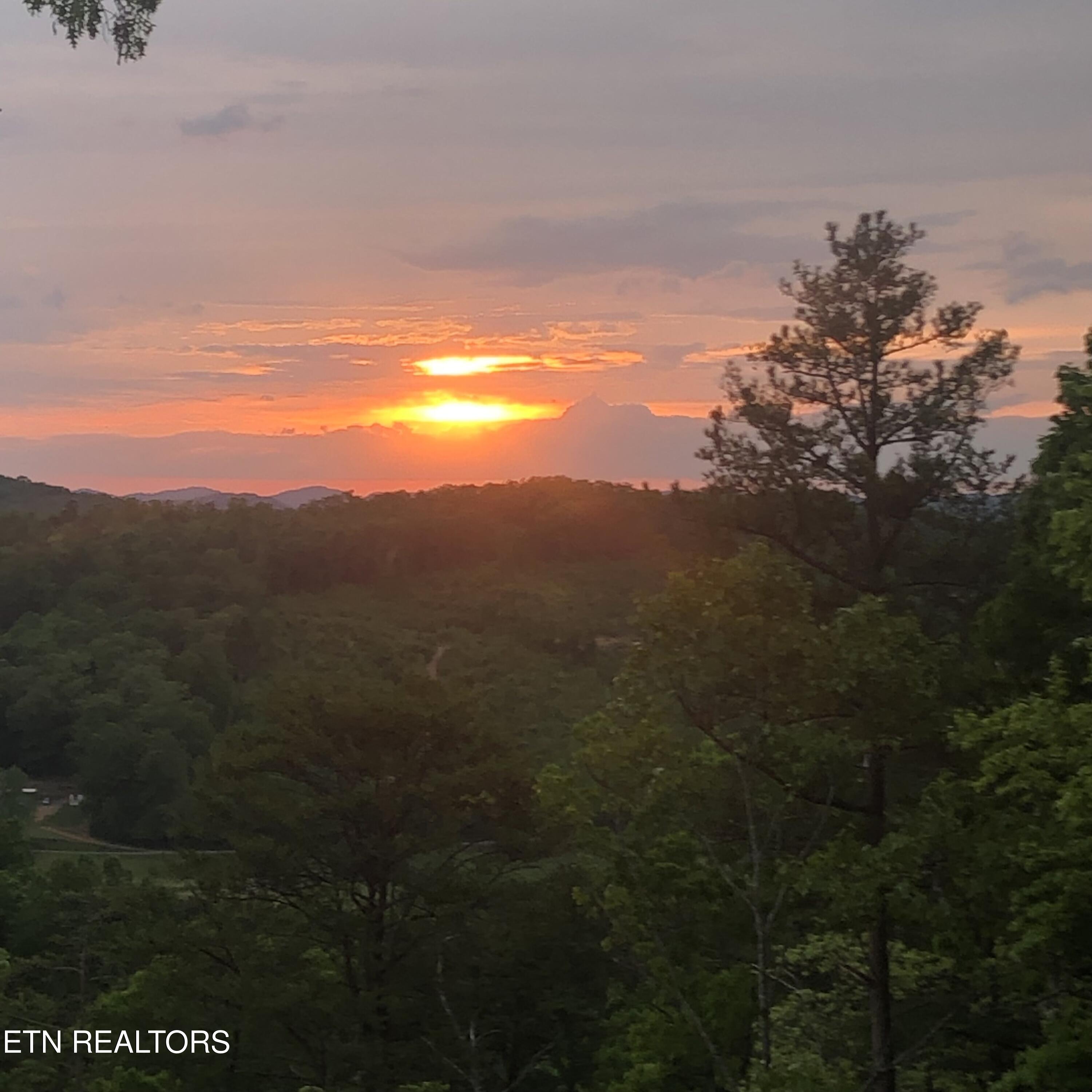125 Indian Ridge Drive Tellico Plains TN 37385