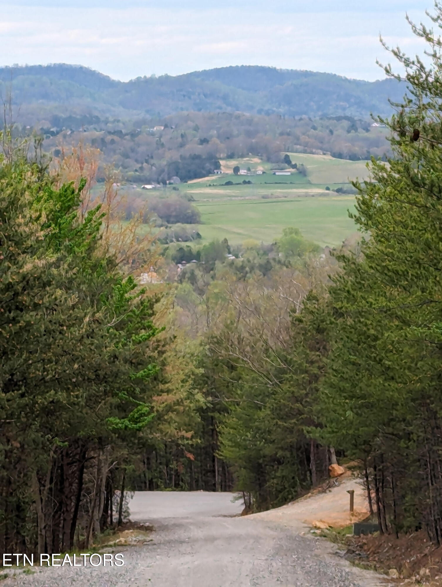 125 Indian Ridge Drive Tellico Plains TN 37385