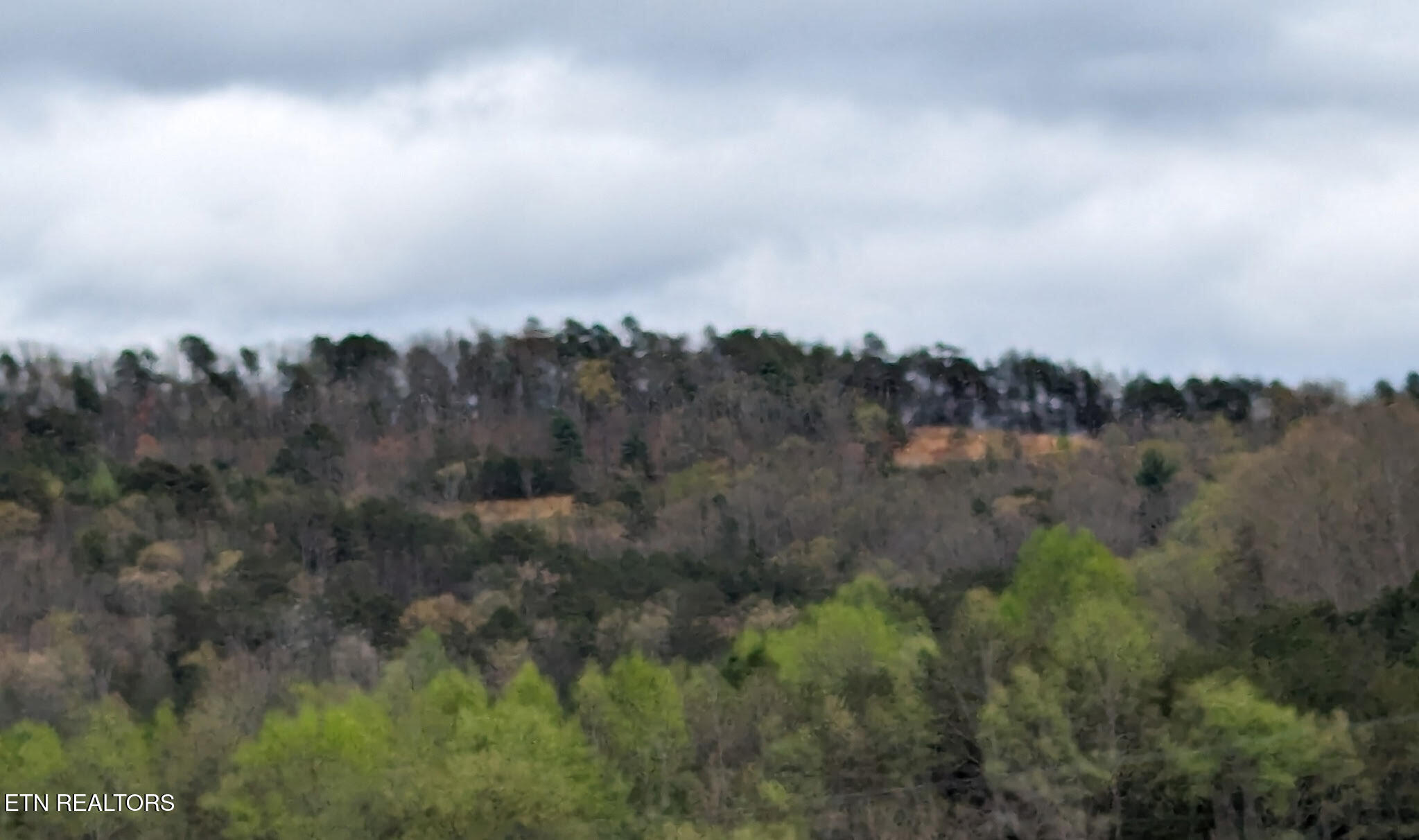 125 Indian Ridge Drive Tellico Plains TN 37385