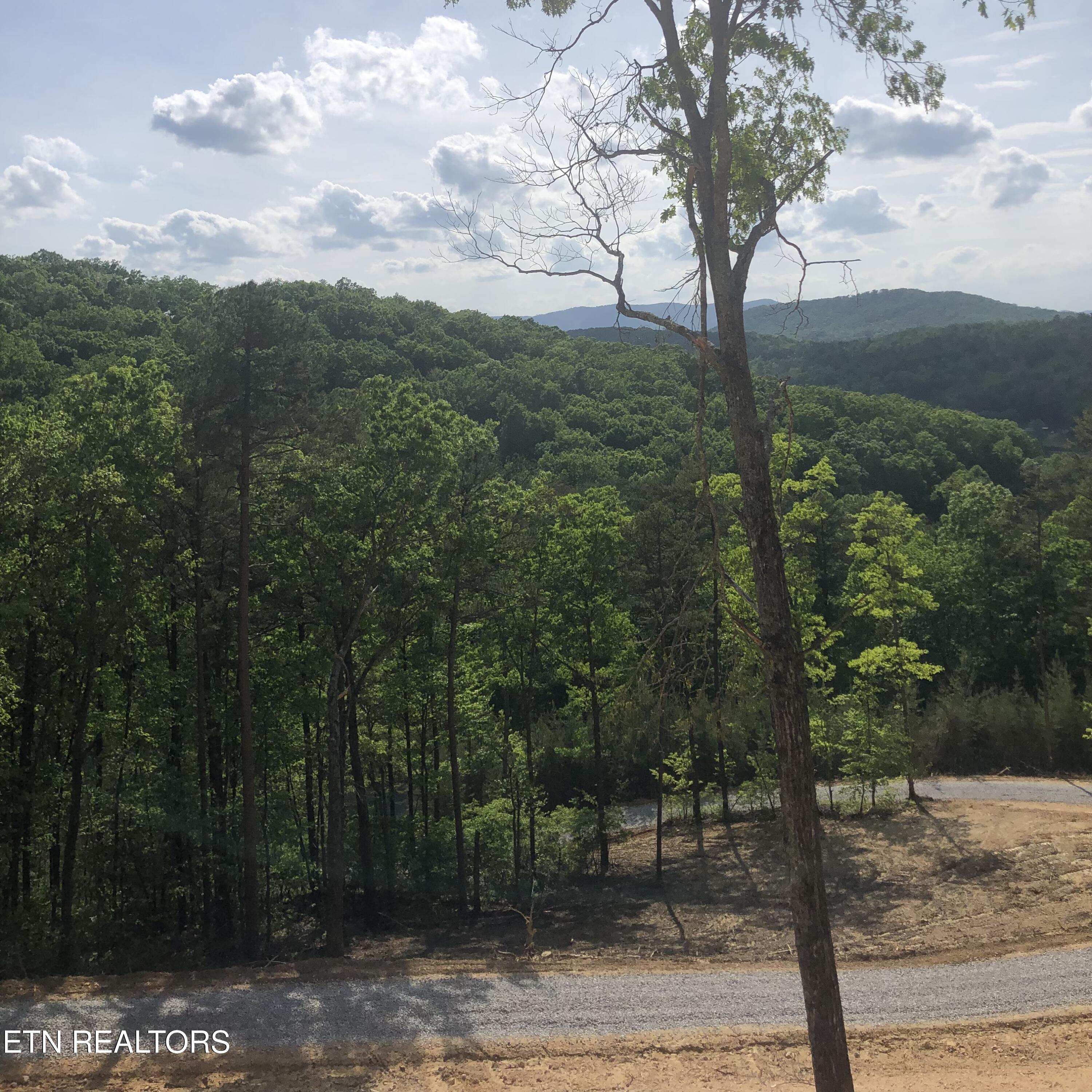 125 Indian Ridge Drive Tellico Plains TN 37385