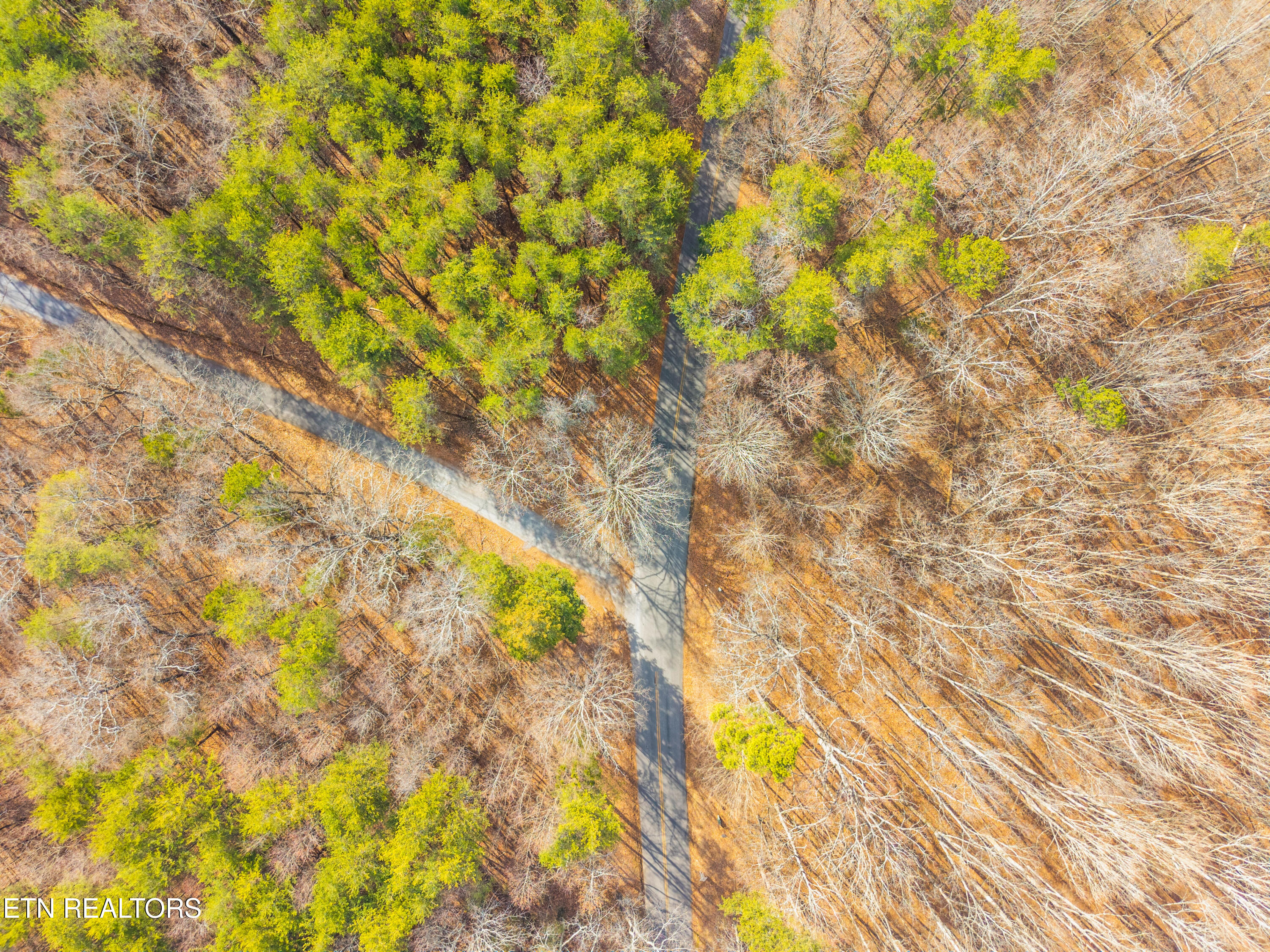 County Road 262 Lot 7 Niota TN 37826