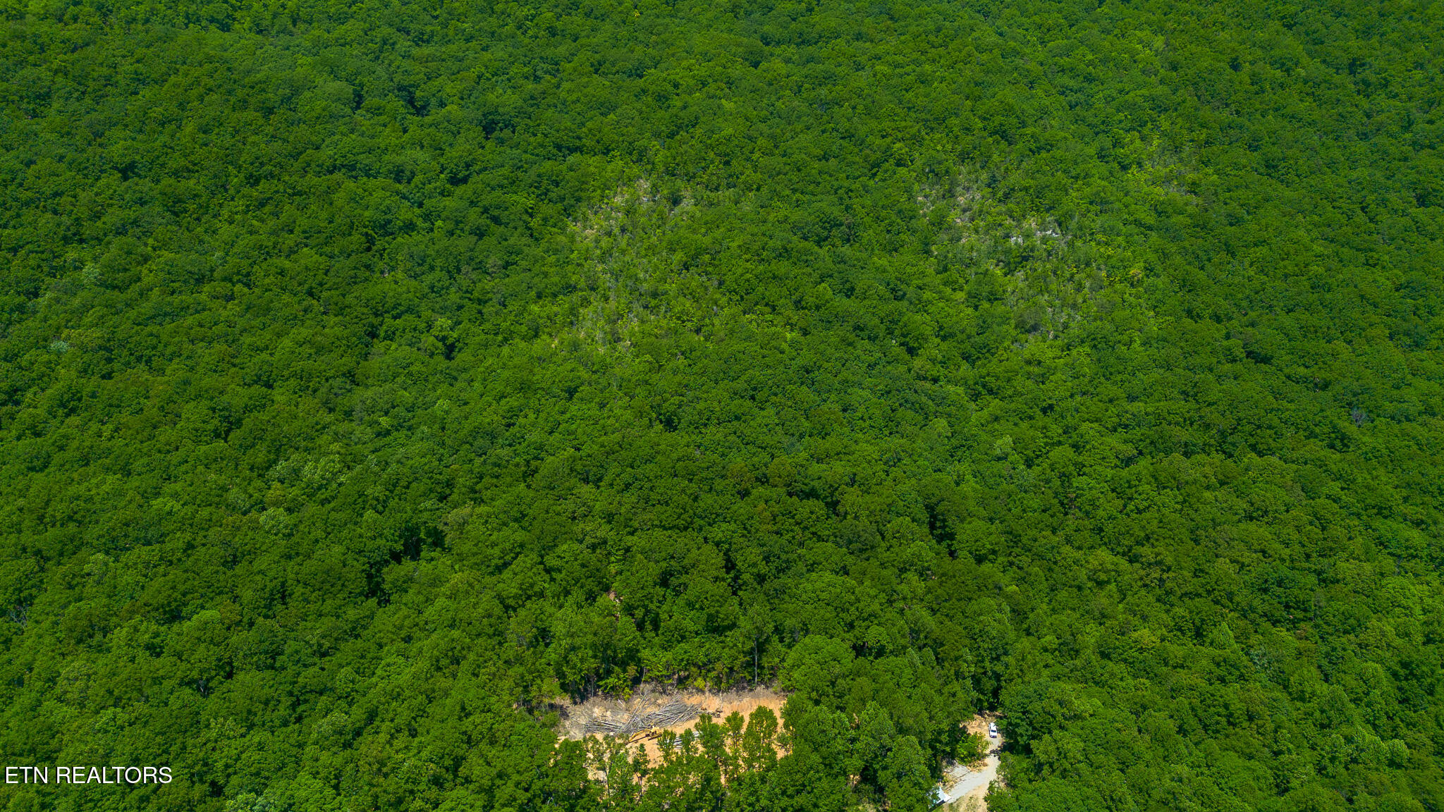 741 Bazel Road Harriman TN 37748