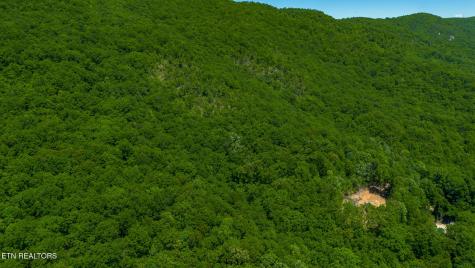 741 Bazel Road Harriman TN 37748