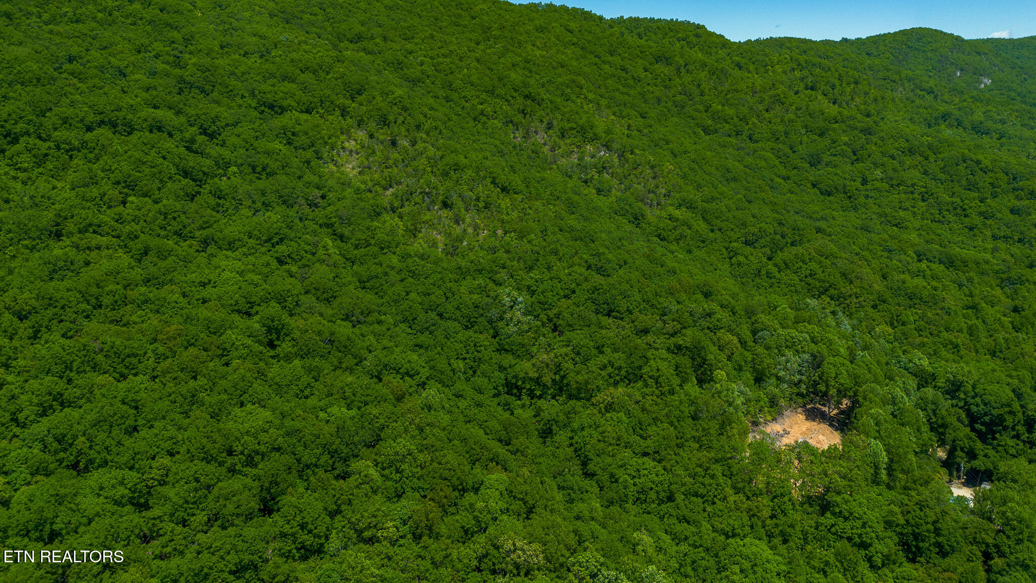 741 Bazel Road Harriman TN 37748