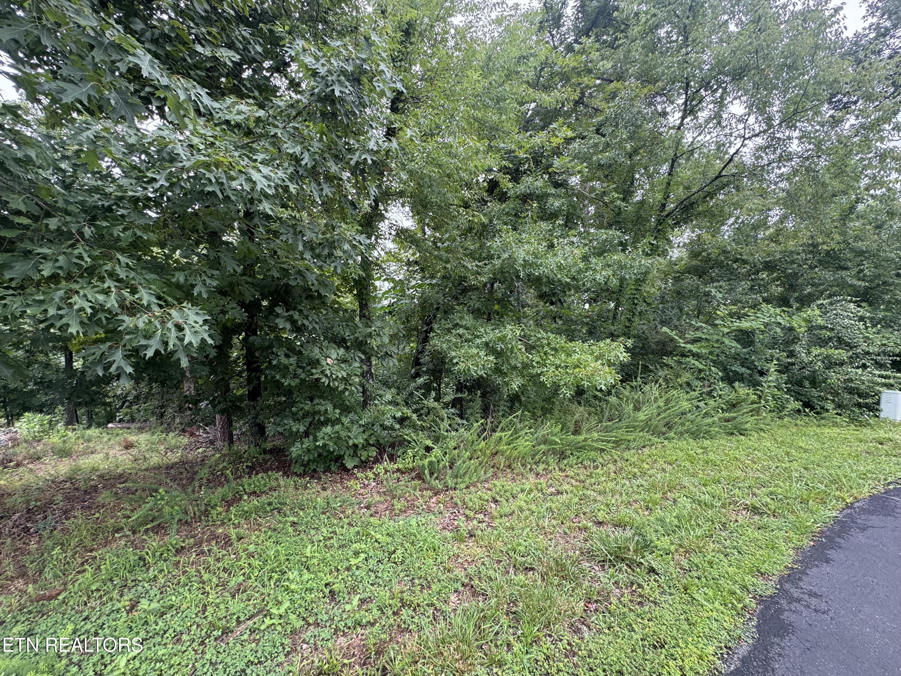 312 Skiatook Circle Loudon TN 37774