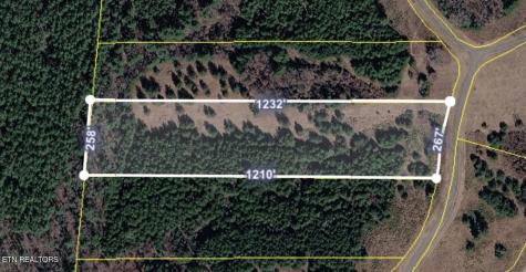 White Creek Drive Deer Lodge TN 37726
