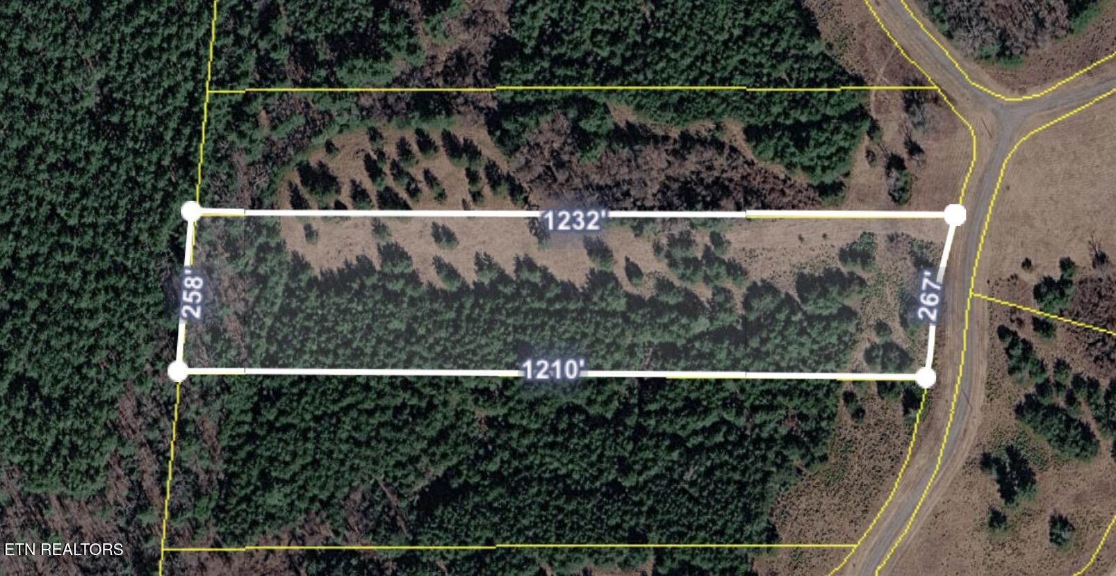 White Creek Drive Deer Lodge TN 37726