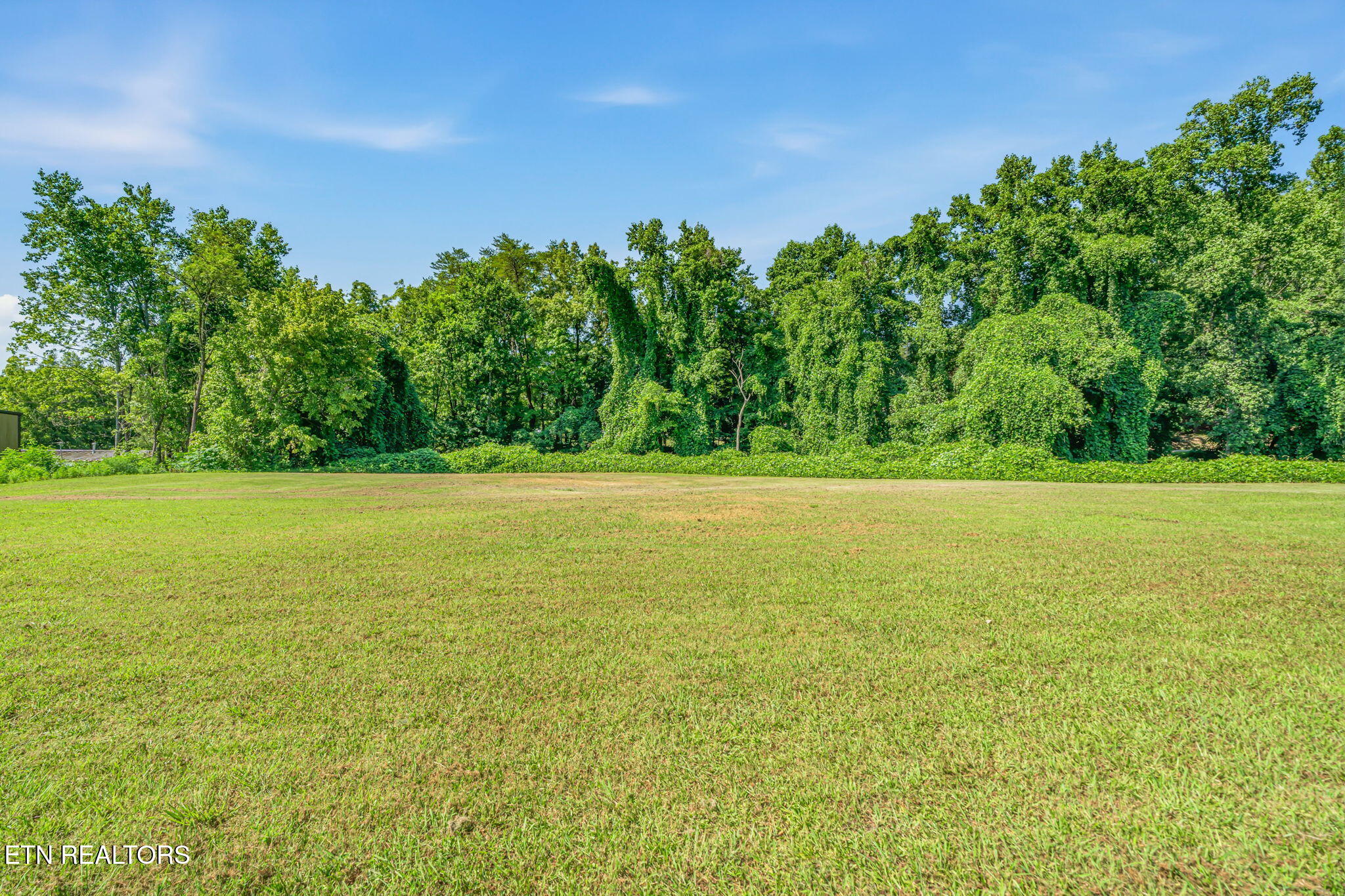 Hannah Drive Oliver Springs TN 37840