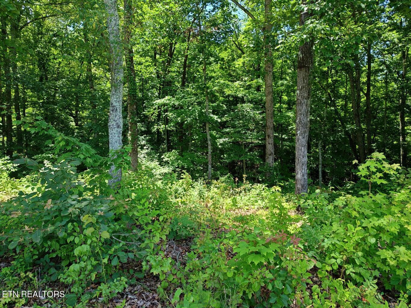 6428 Espalier Drive Decatur TN 37322