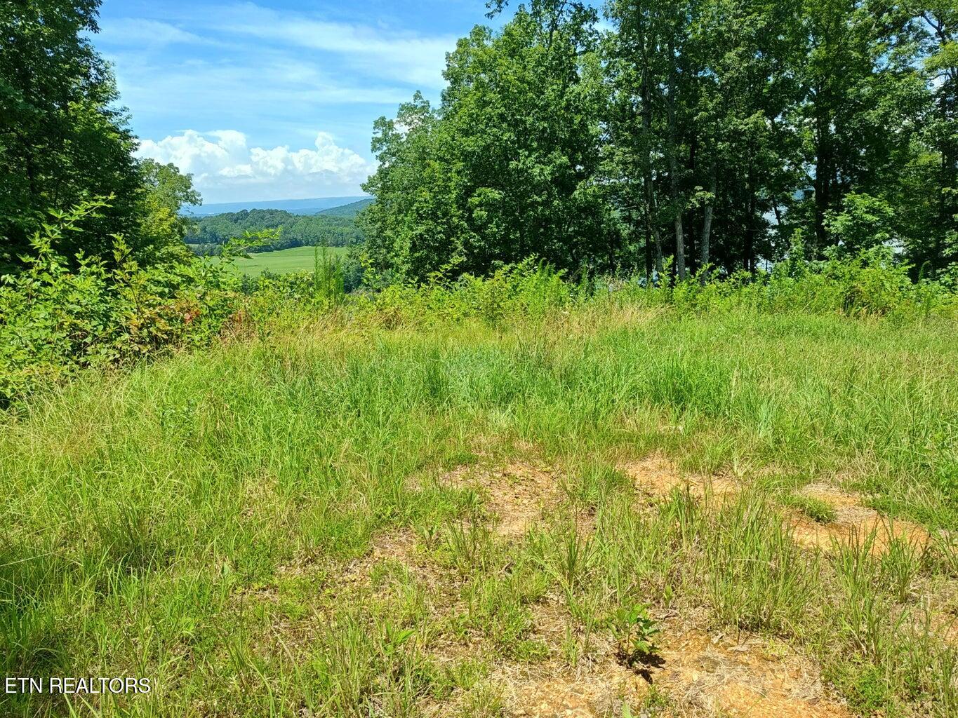 6428 Espalier Drive Decatur TN 37322