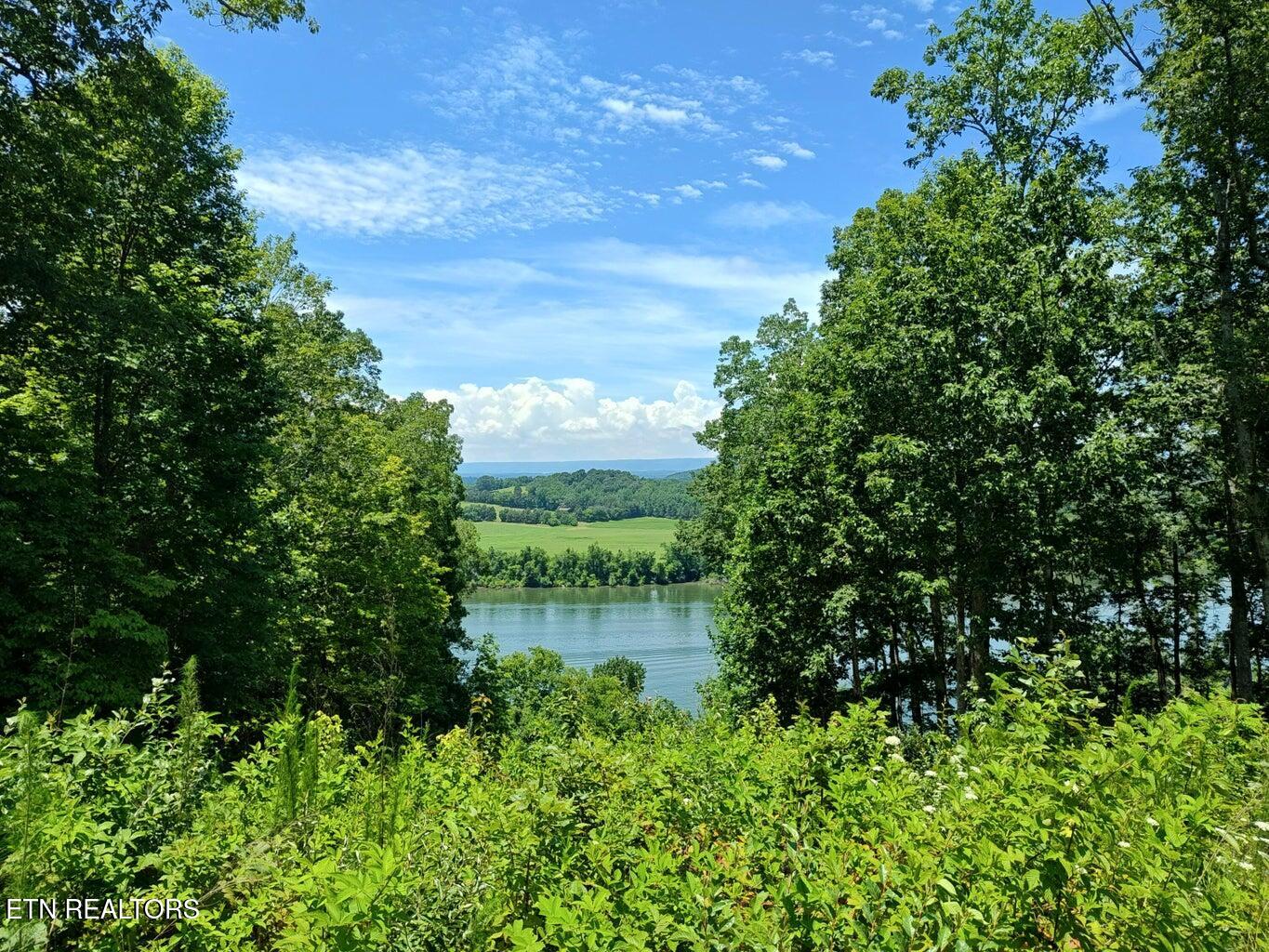 6428 Espalier Drive Decatur TN 37322