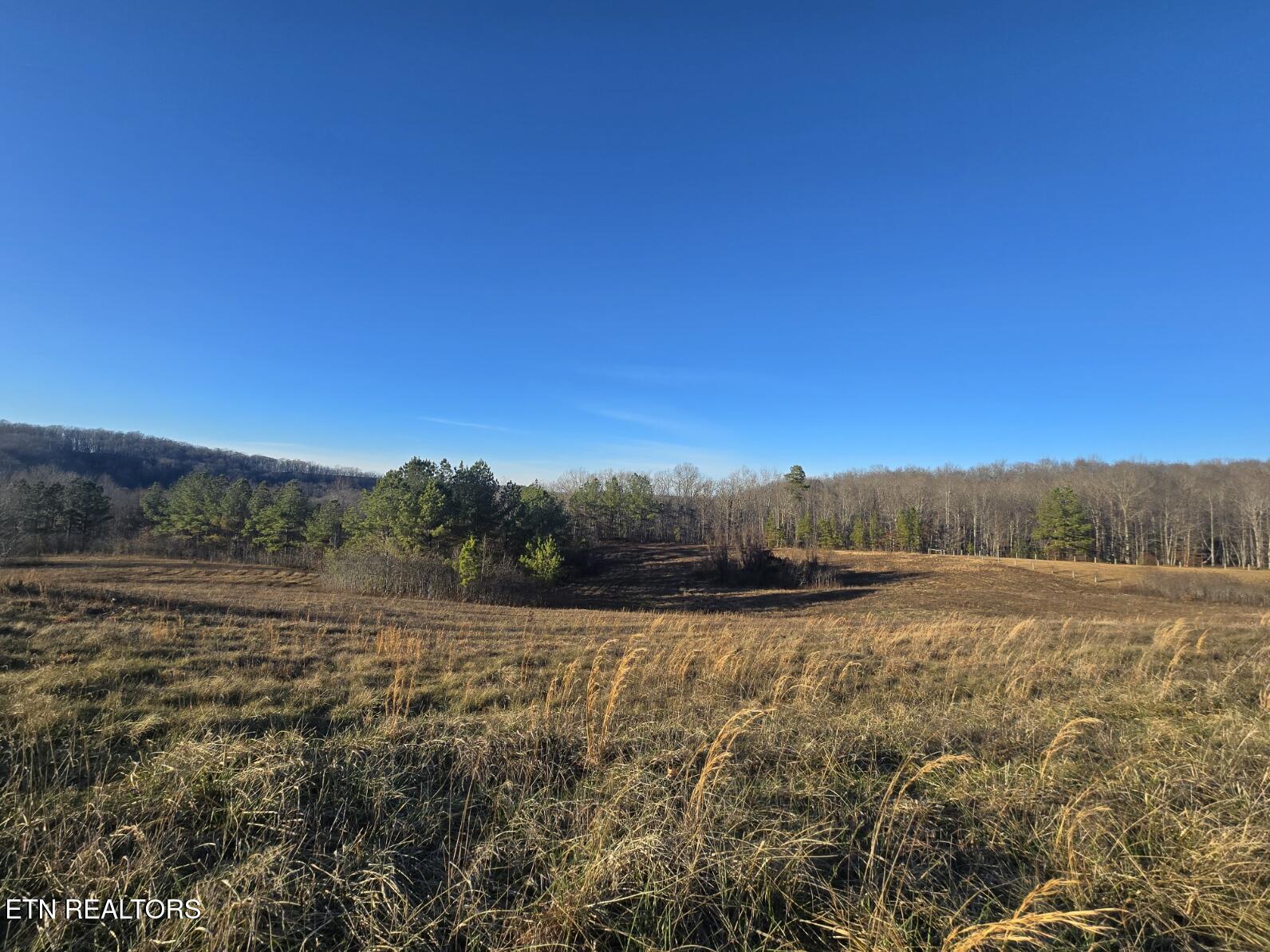 Lot 2 Honey Creek Road Robbins TN 37852