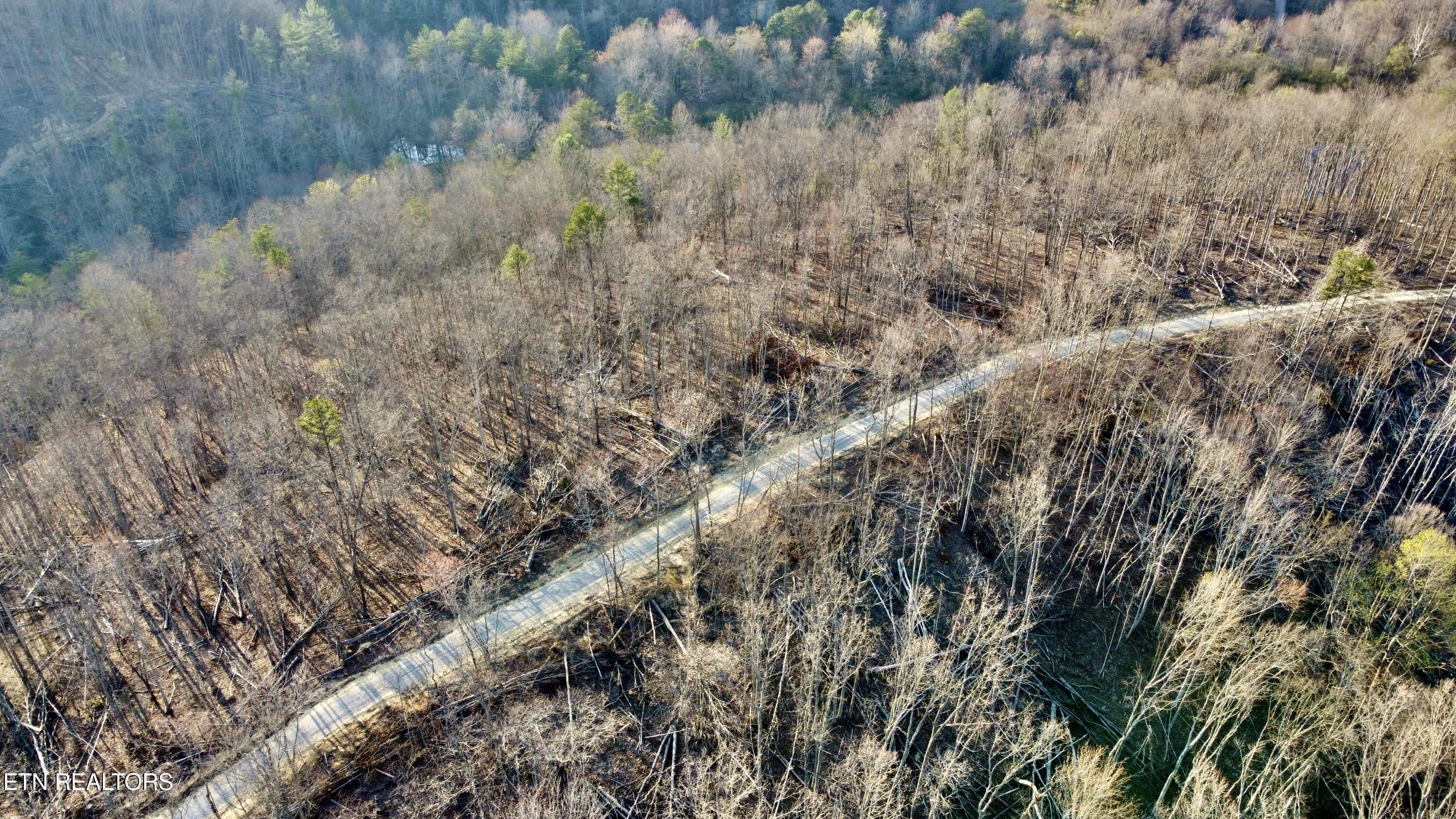 LOT#10 Mill Creek Road Sunbright TN 37872