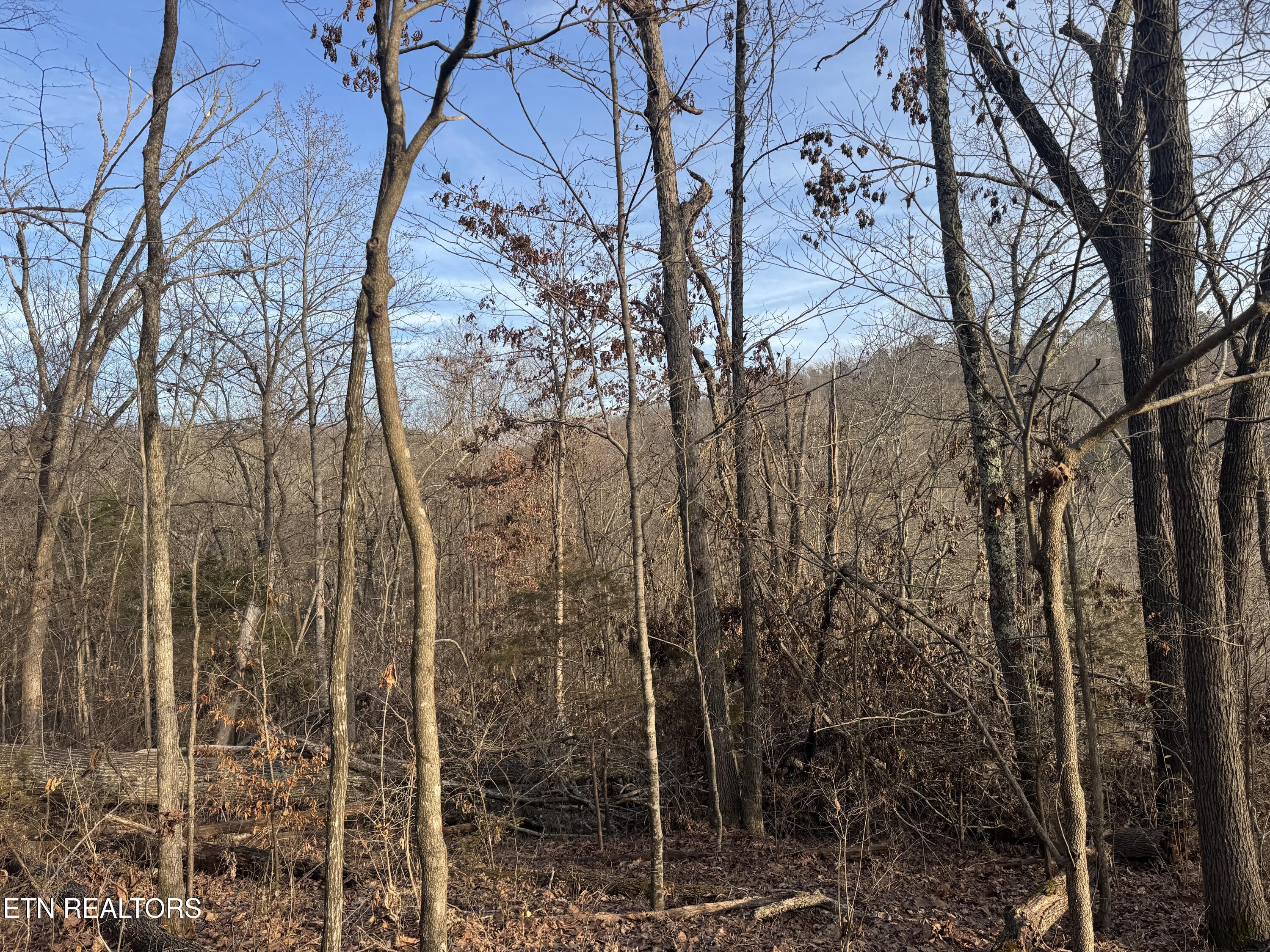 513 Jimtown Road Newport TN 37821