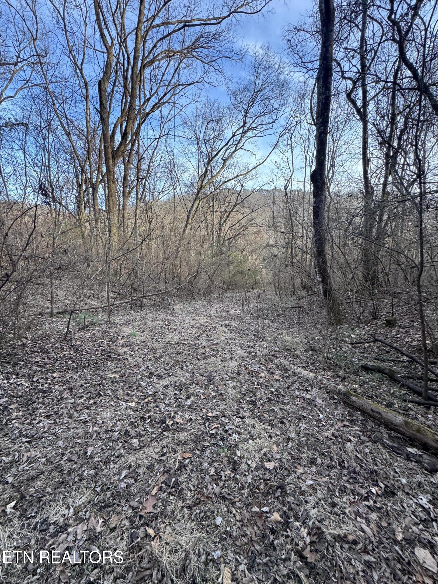 513 Jimtown Road Newport TN 37821
