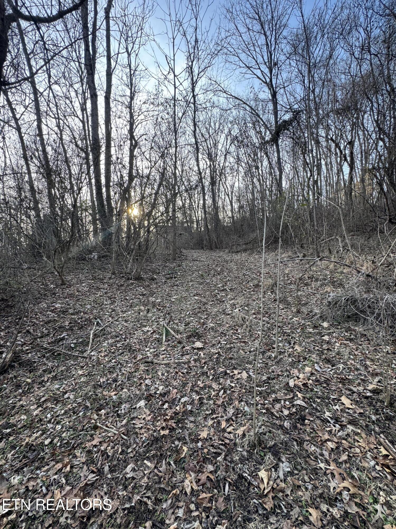 513 Jimtown Road Newport TN 37821