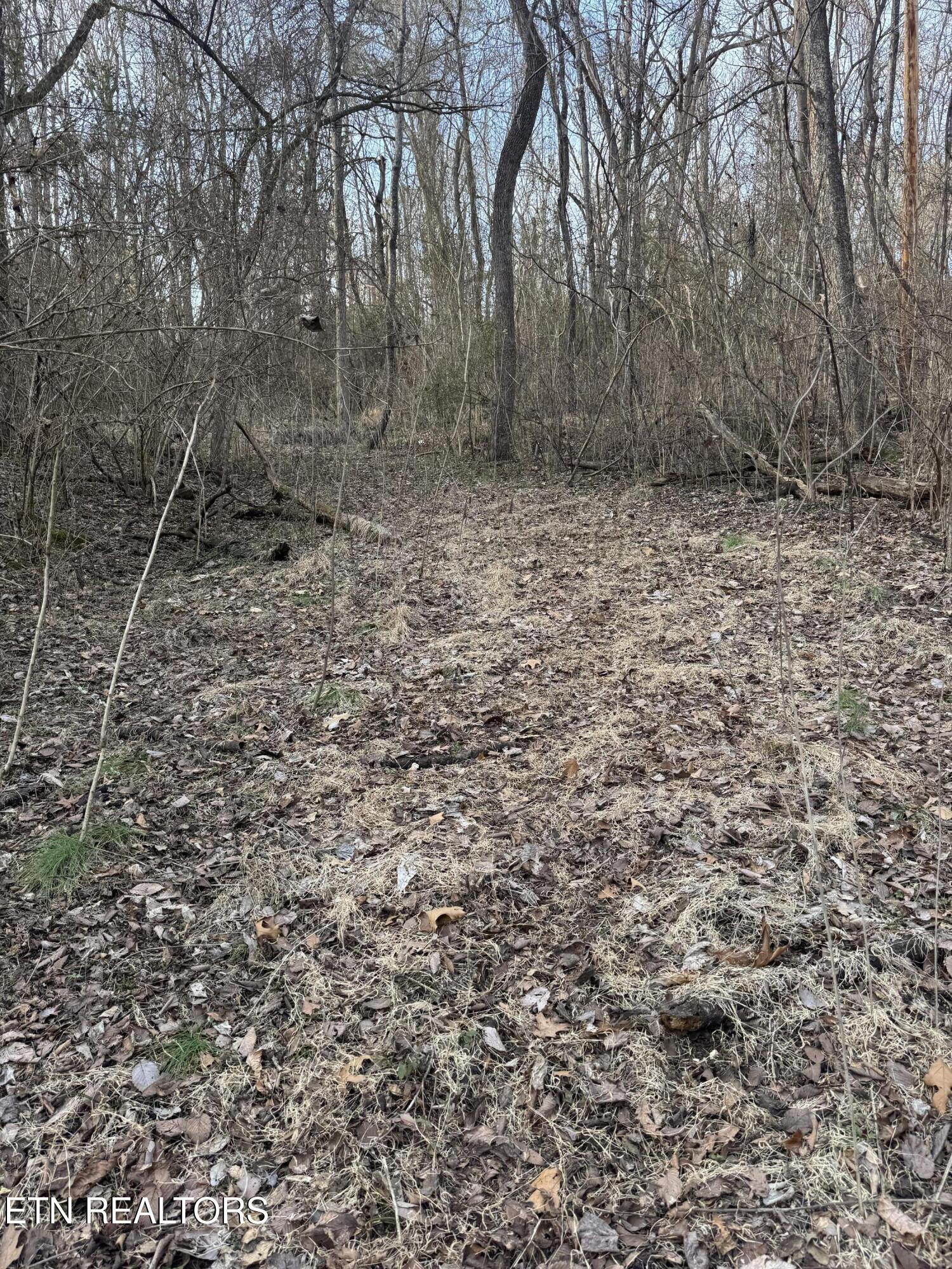 513 Jimtown Road Newport TN 37821