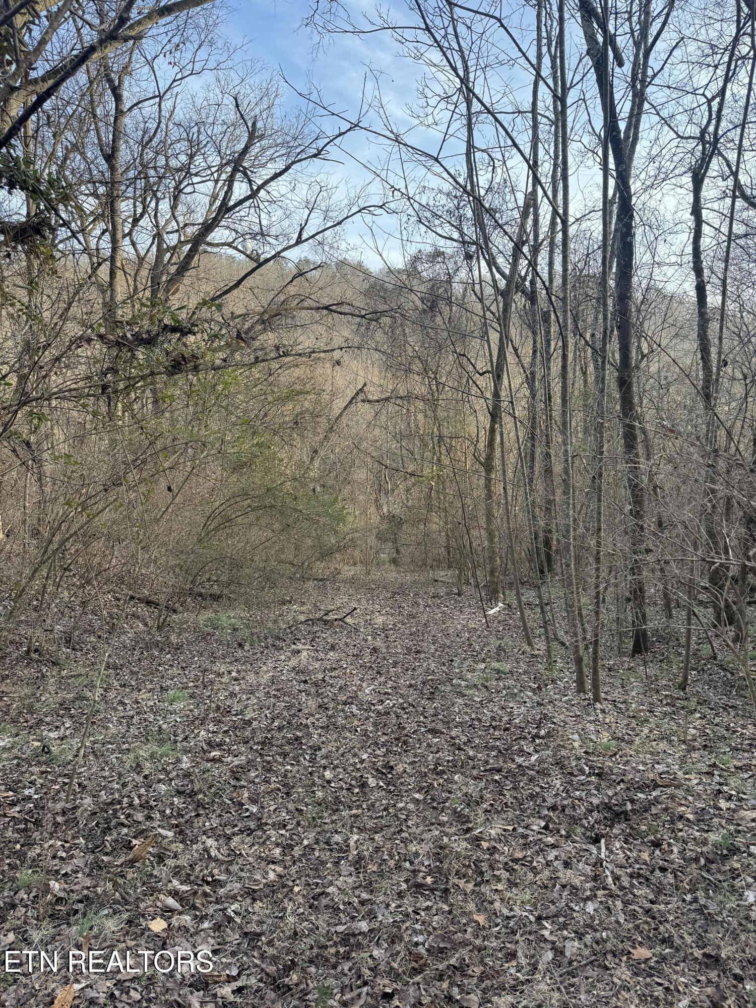 513 Jimtown Road Newport TN 37821
