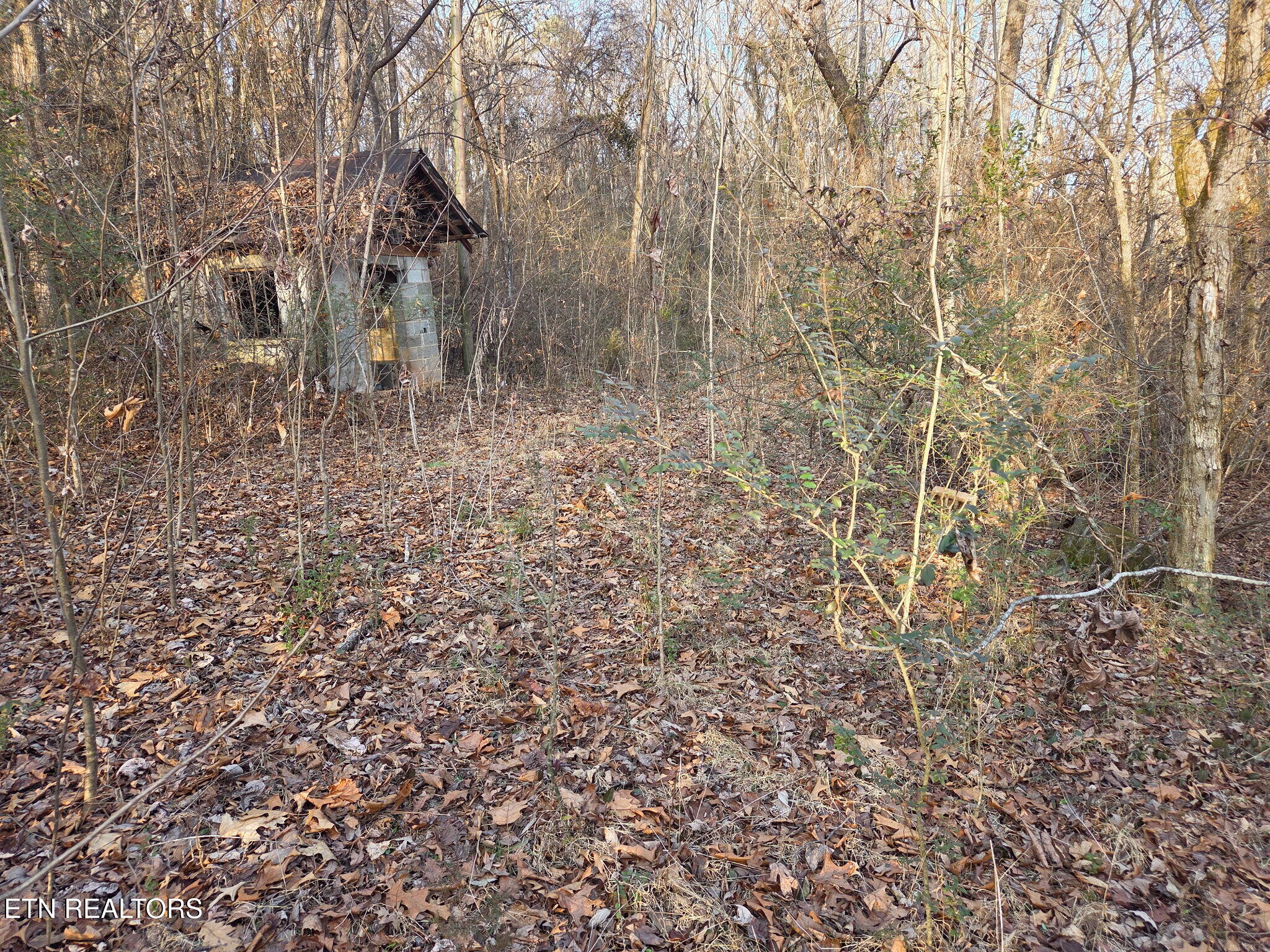 513 Jimtown Road Newport TN 37821