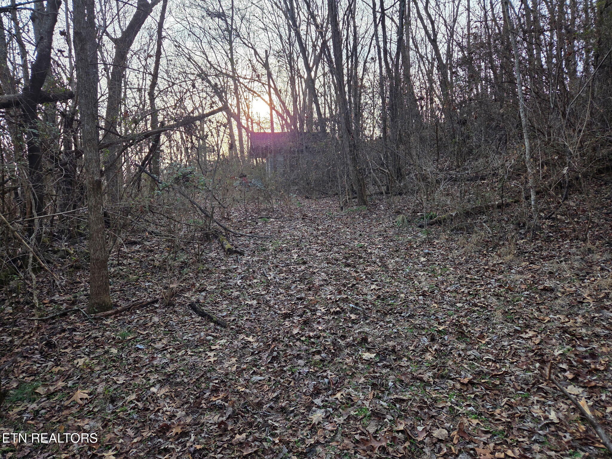 513 Jimtown Road Newport TN 37821