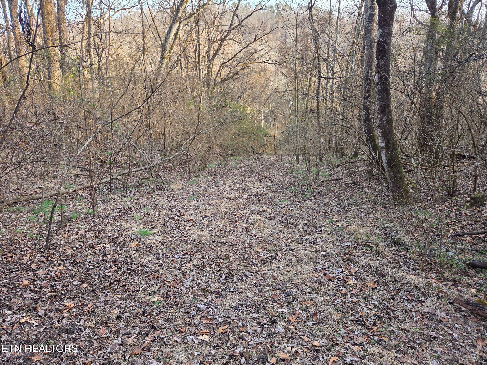 513 Jimtown Road Newport TN 37821