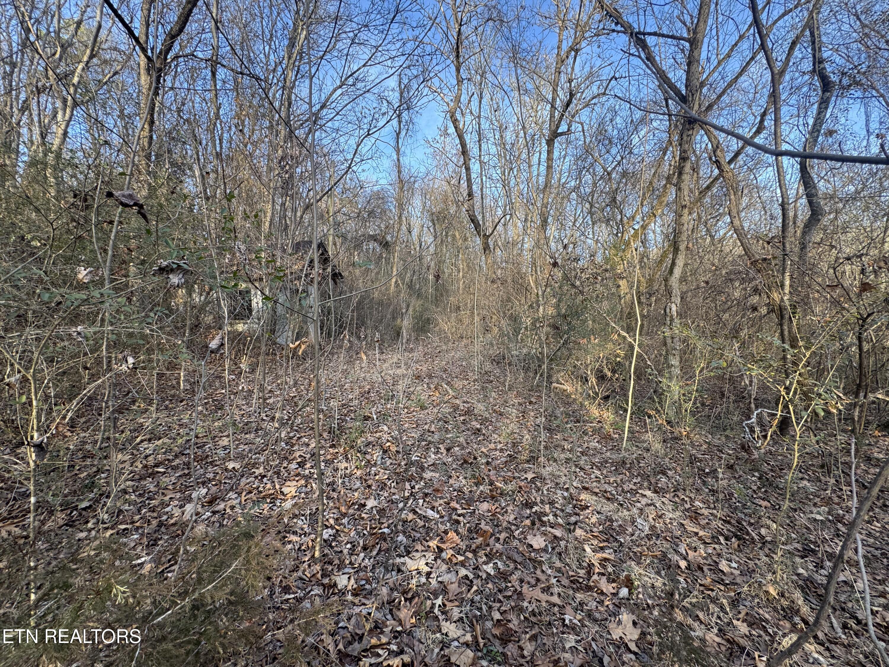 513 Jimtown Road Newport TN 37821