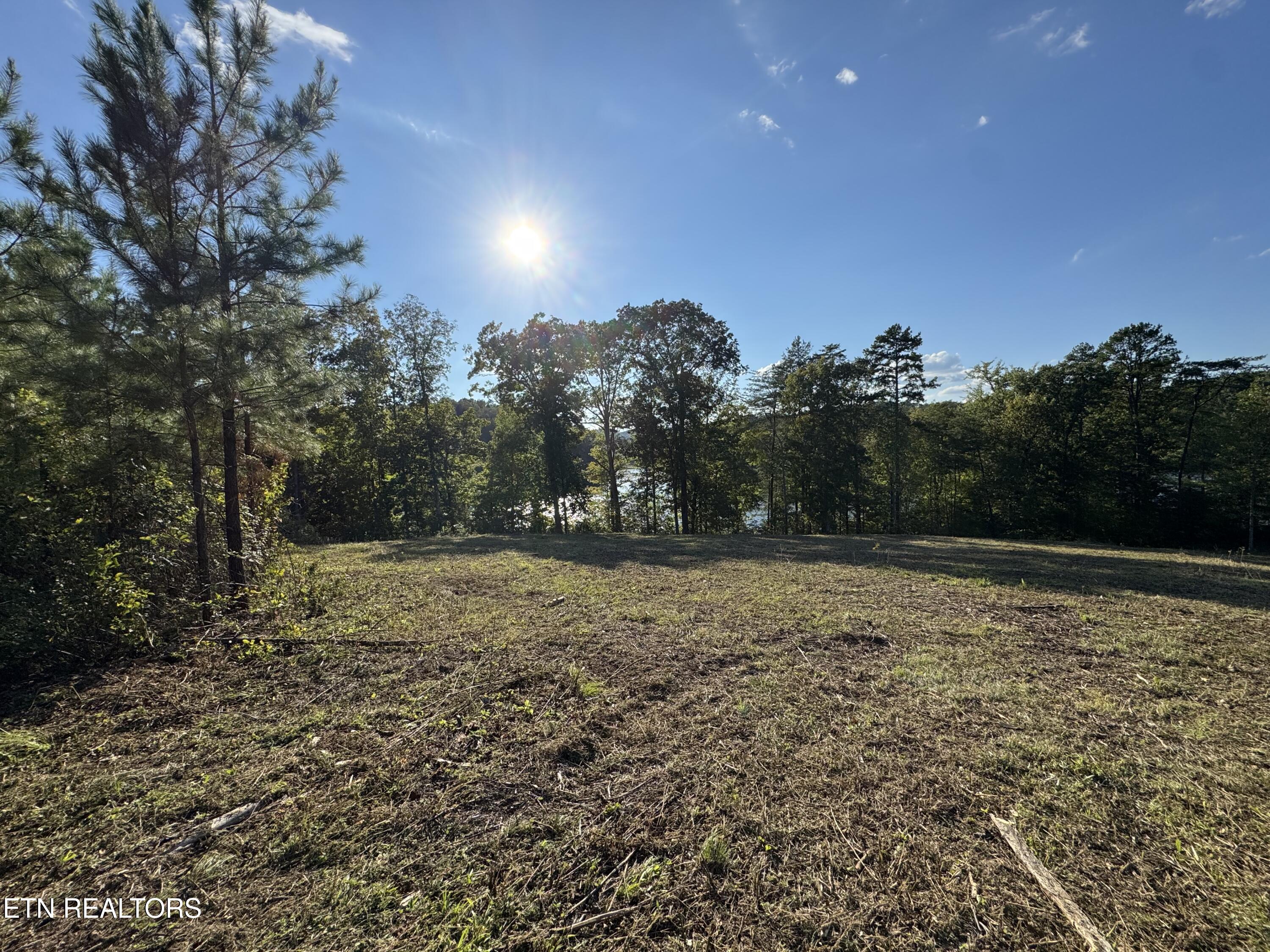 692 Overlook Drive Vonore TN 37885