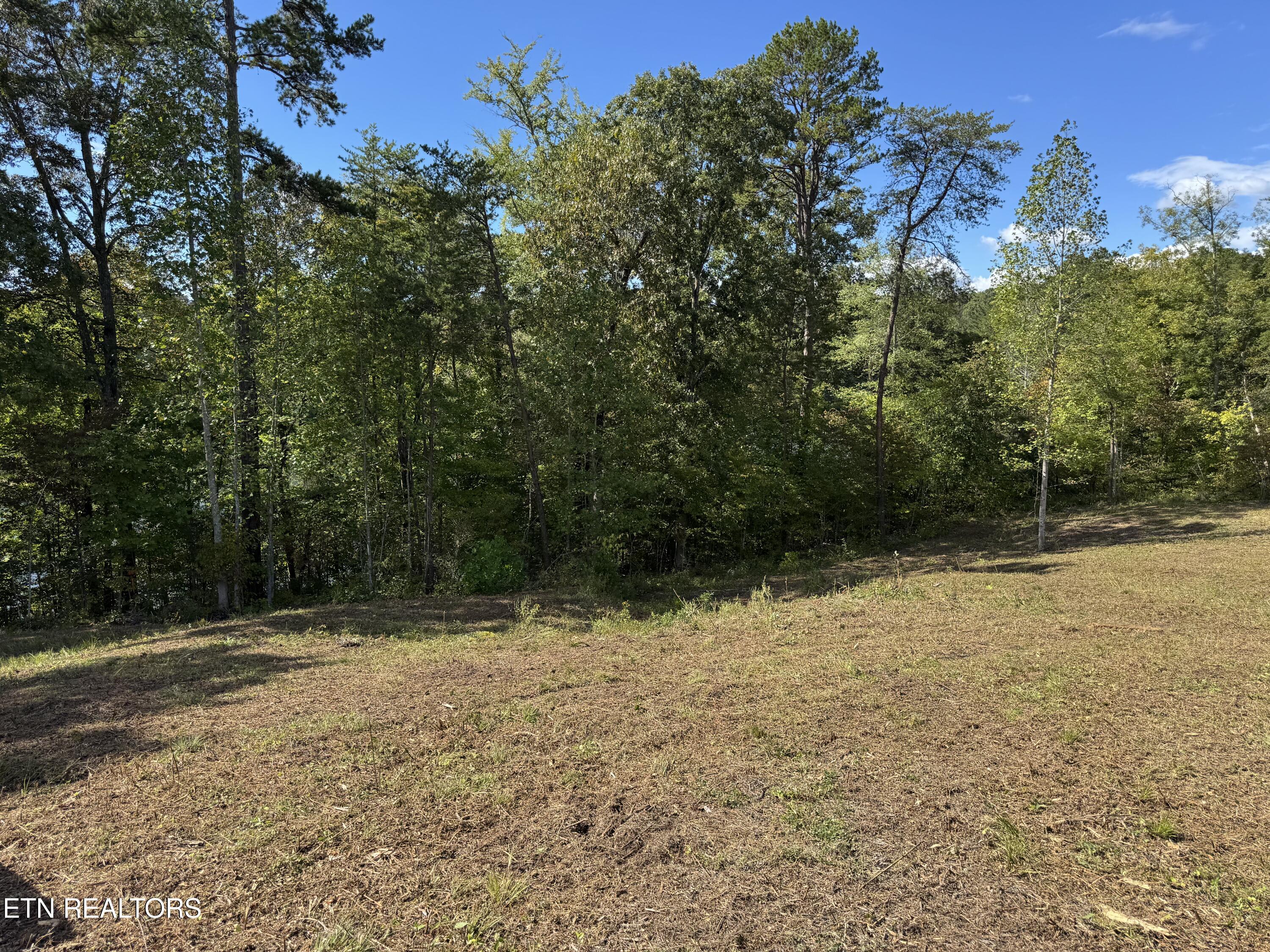 692 Overlook Drive Vonore TN 37885