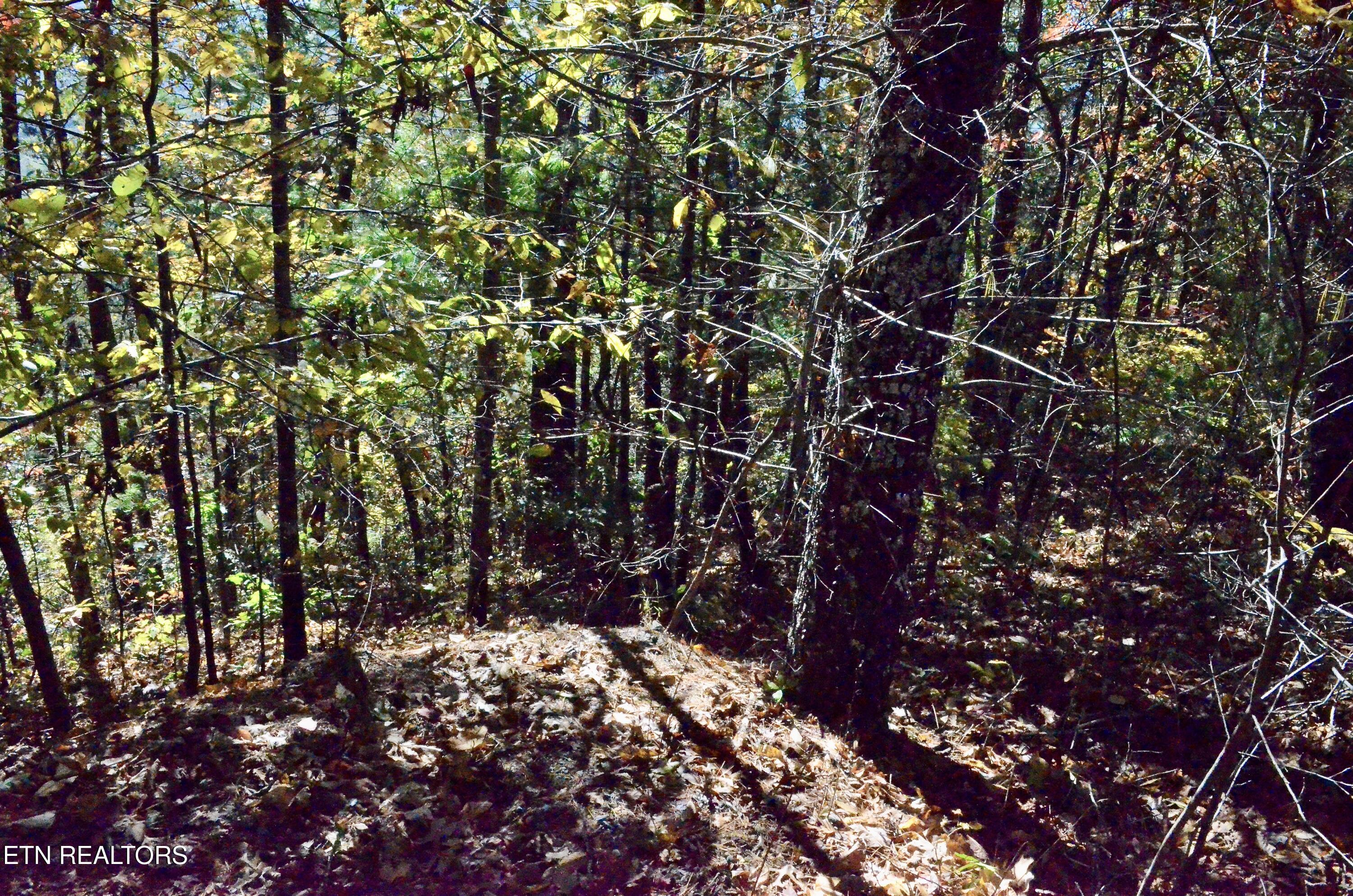 Lot 28r Mountain Retreat Road Townsend TN 37882
