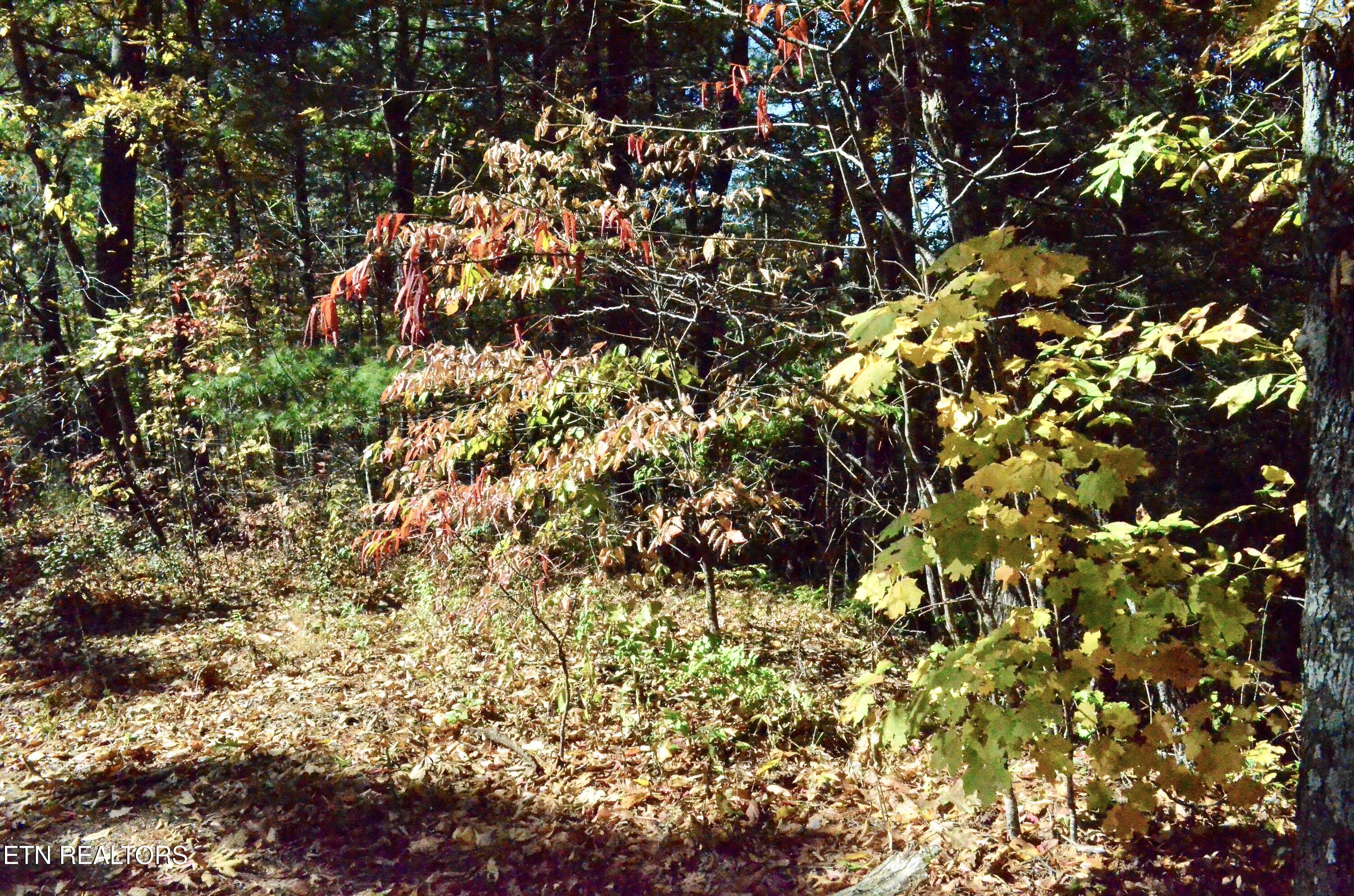 Lot 28r Mountain Retreat Road Townsend TN 37882