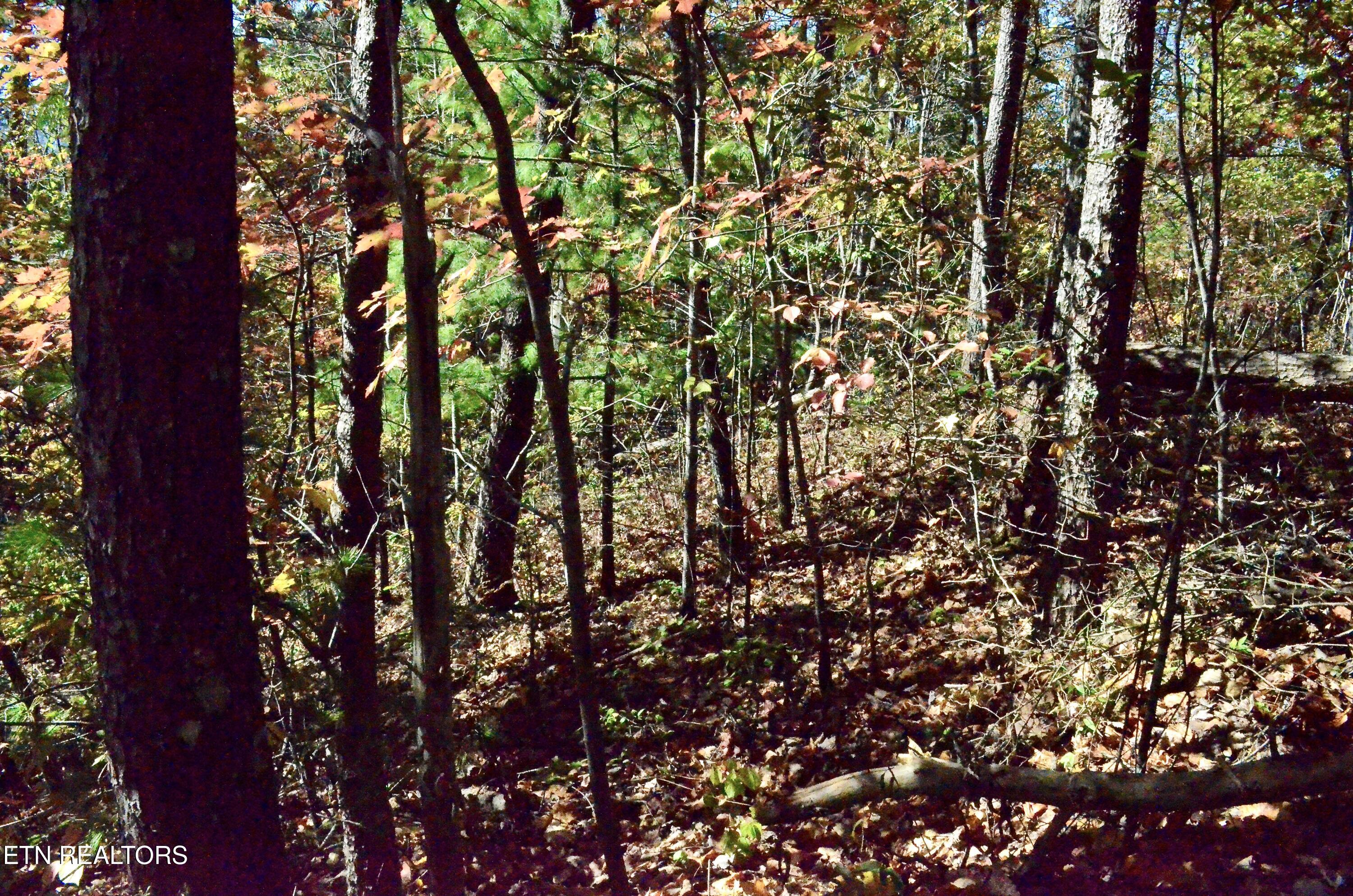 Lot 28r Mountain Retreat Road Townsend TN 37882