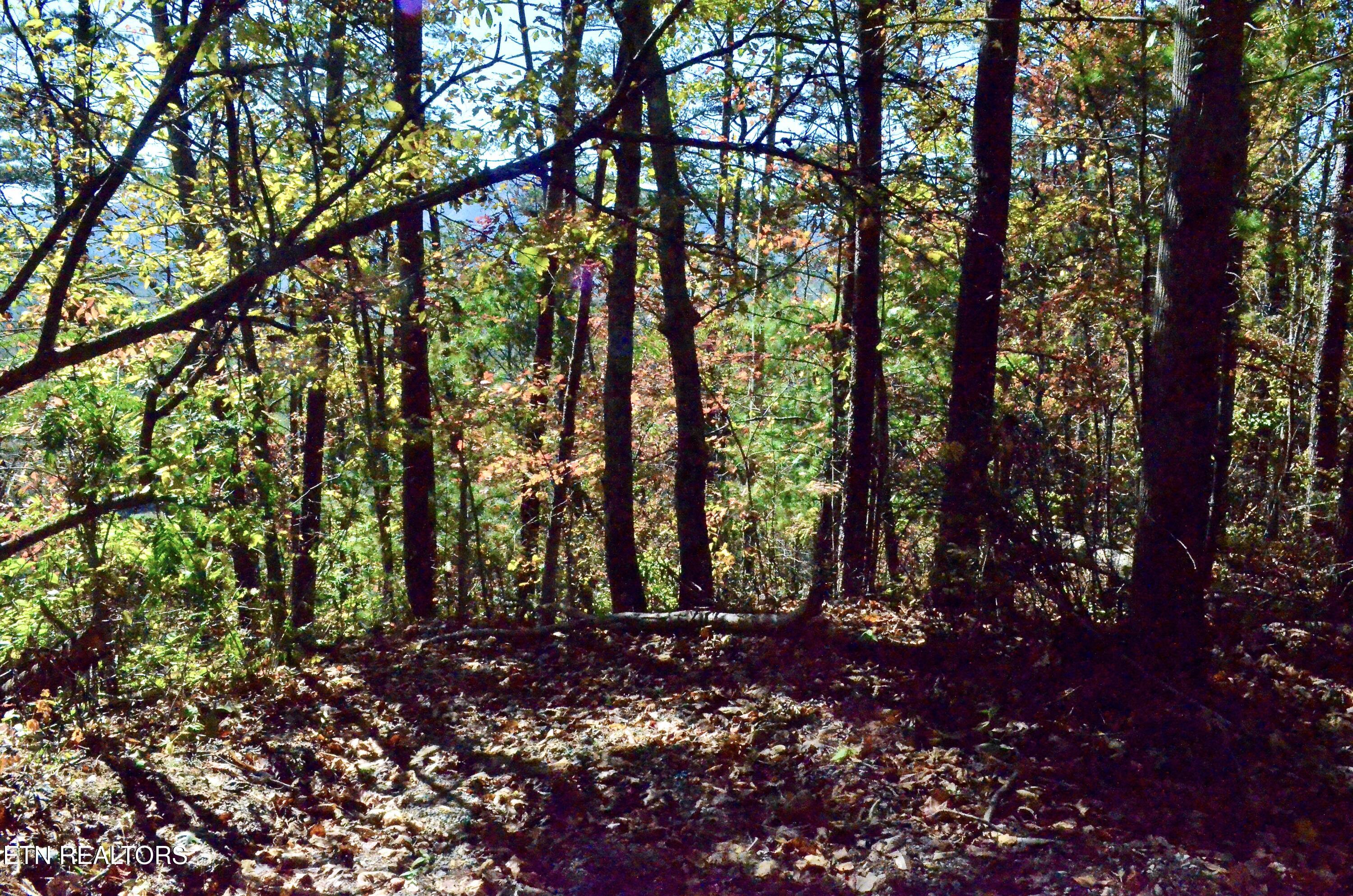 Lot 28r Mountain Retreat Road Townsend TN 37882