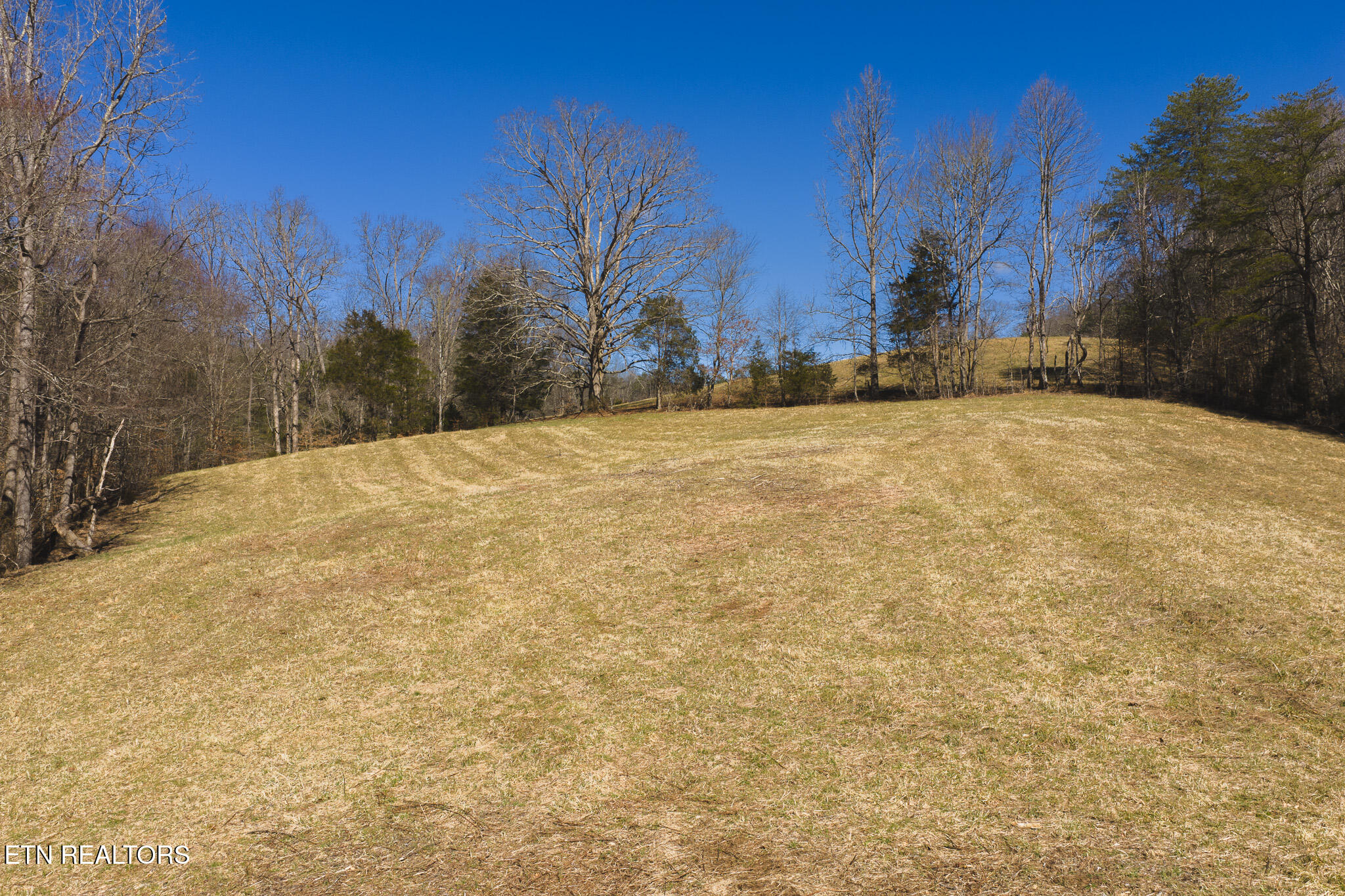 100 Acres Sutton Hollow Road Sneedville TN 37869