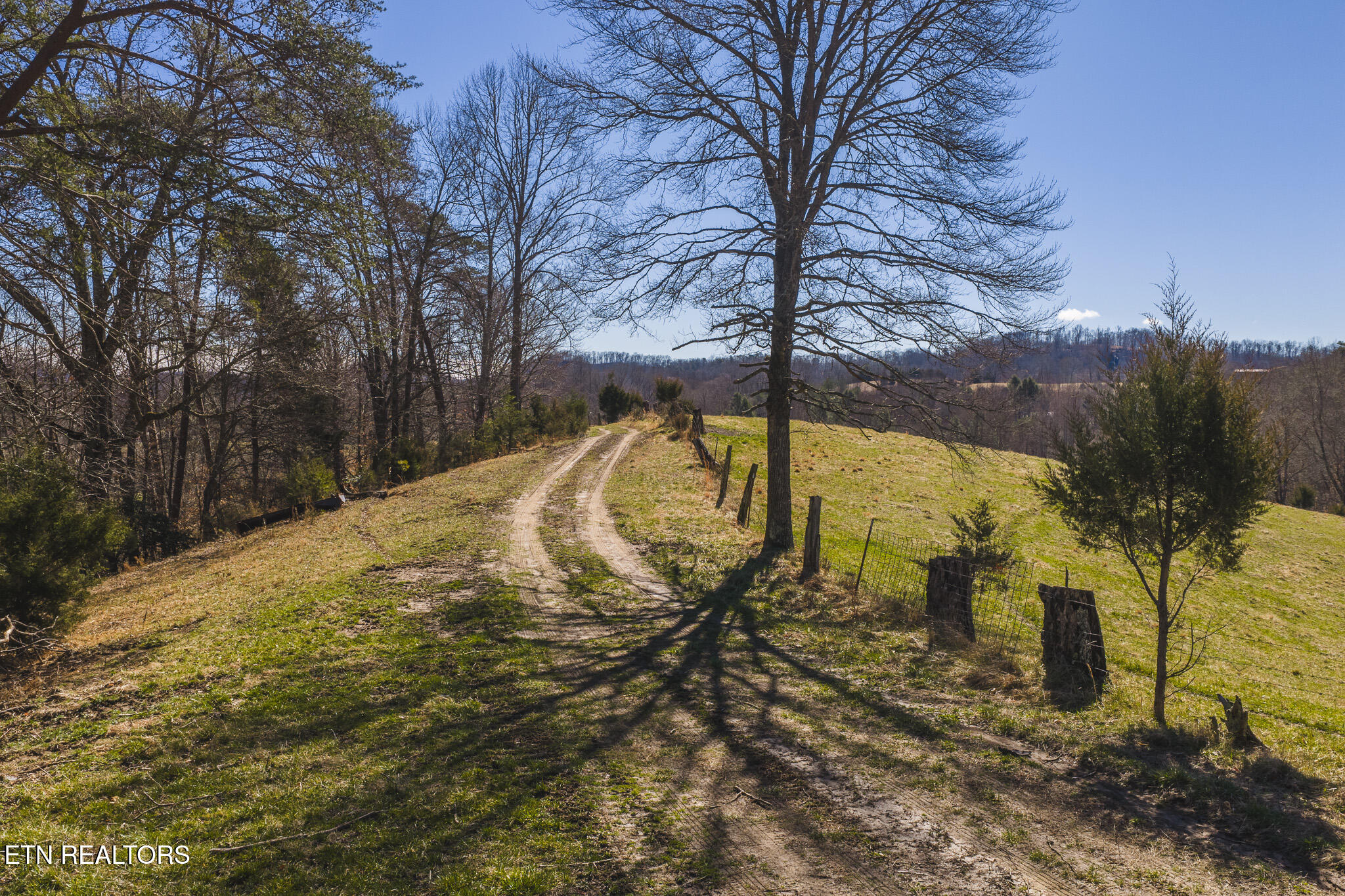 100 Acres Sutton Hollow Road Sneedville TN 37869