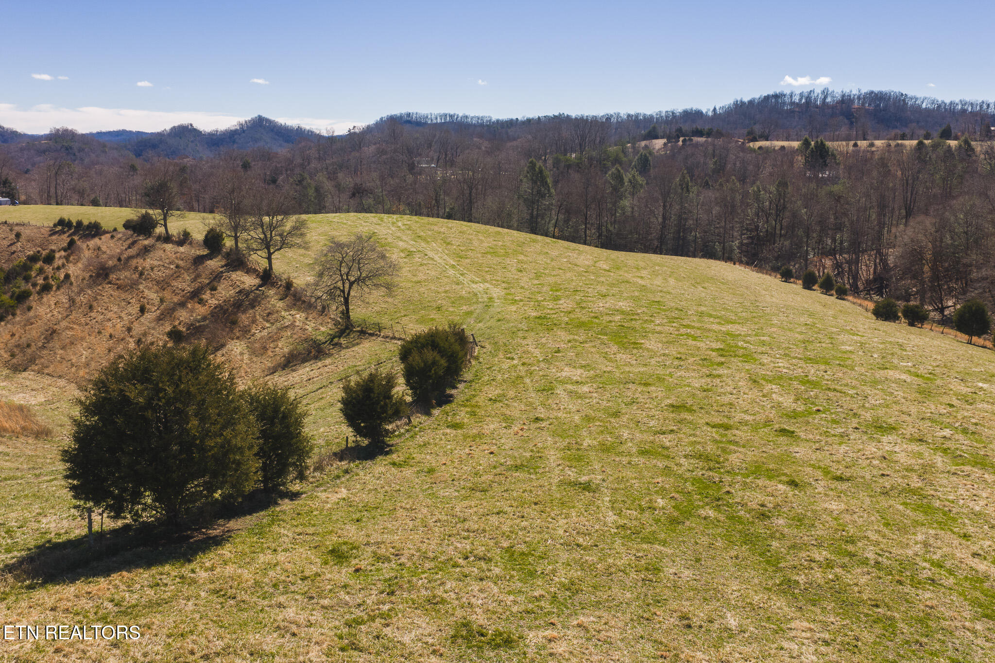 100 Acres Sutton Hollow Road Sneedville TN 37869