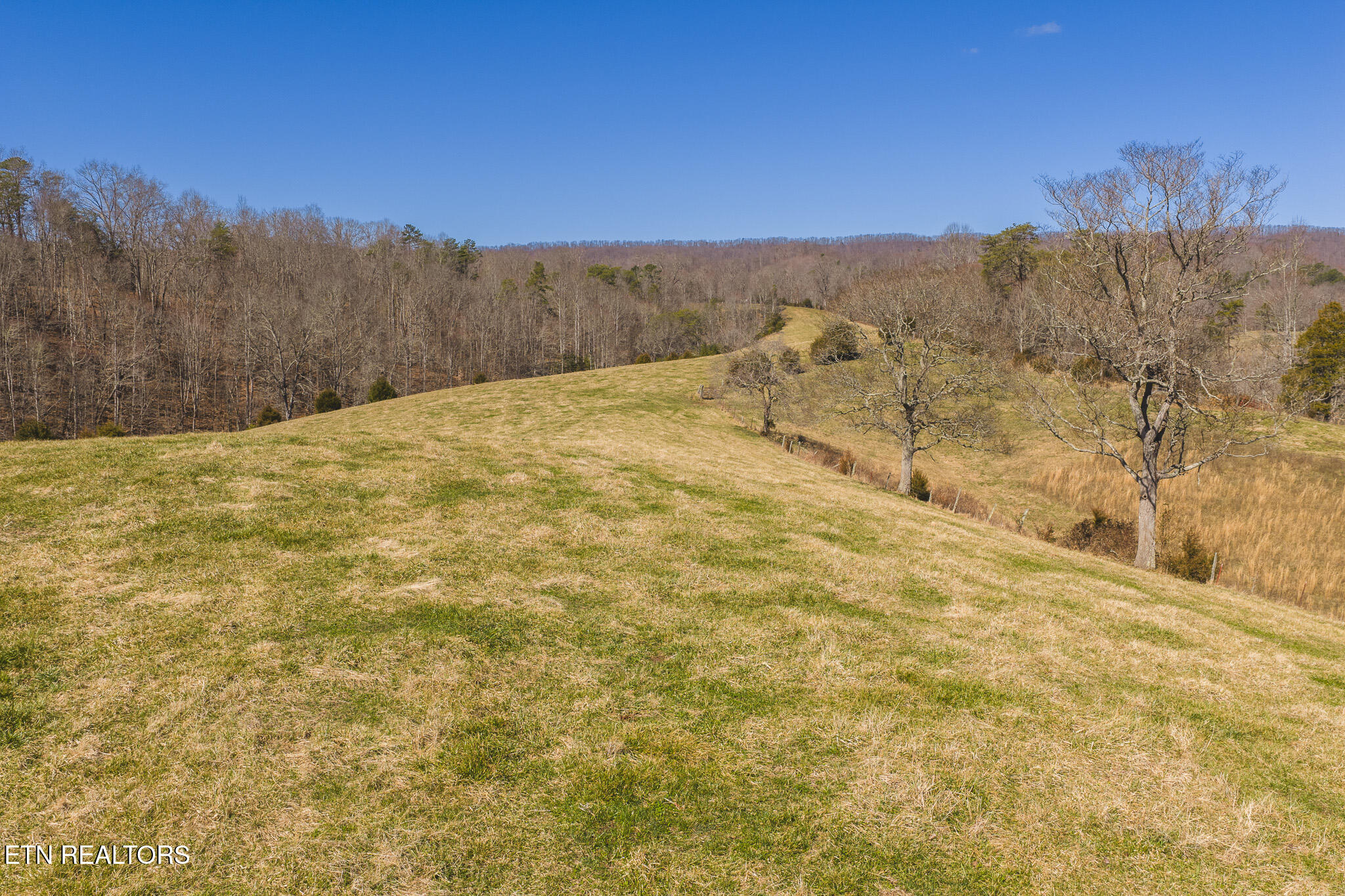 100 Acres Sutton Hollow Road Sneedville TN 37869
