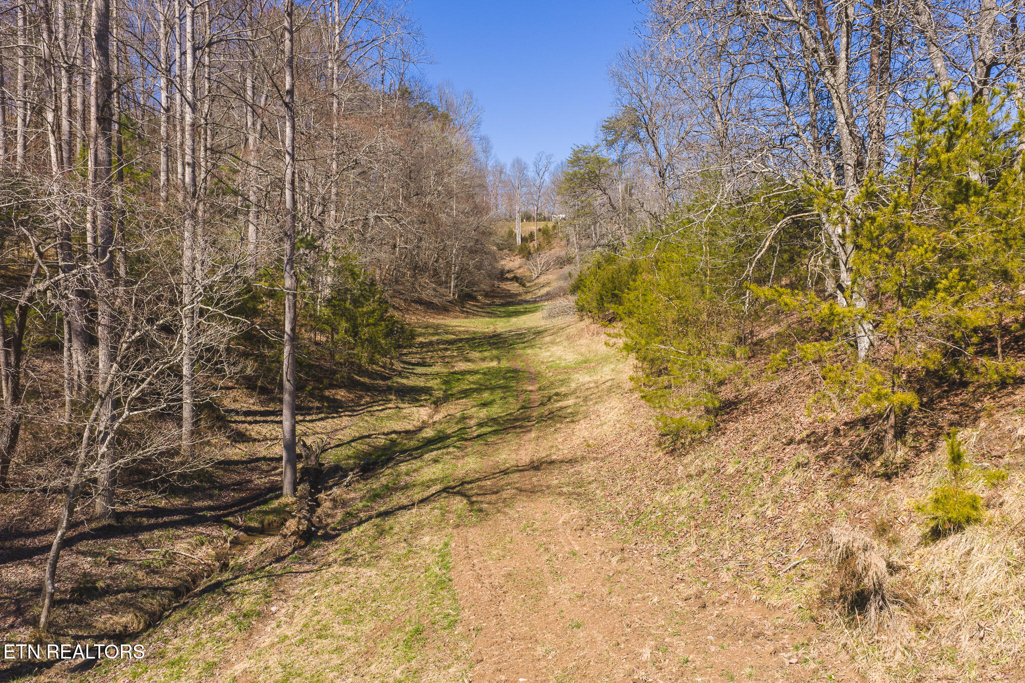 100 Acres Sutton Hollow Road Sneedville TN 37869