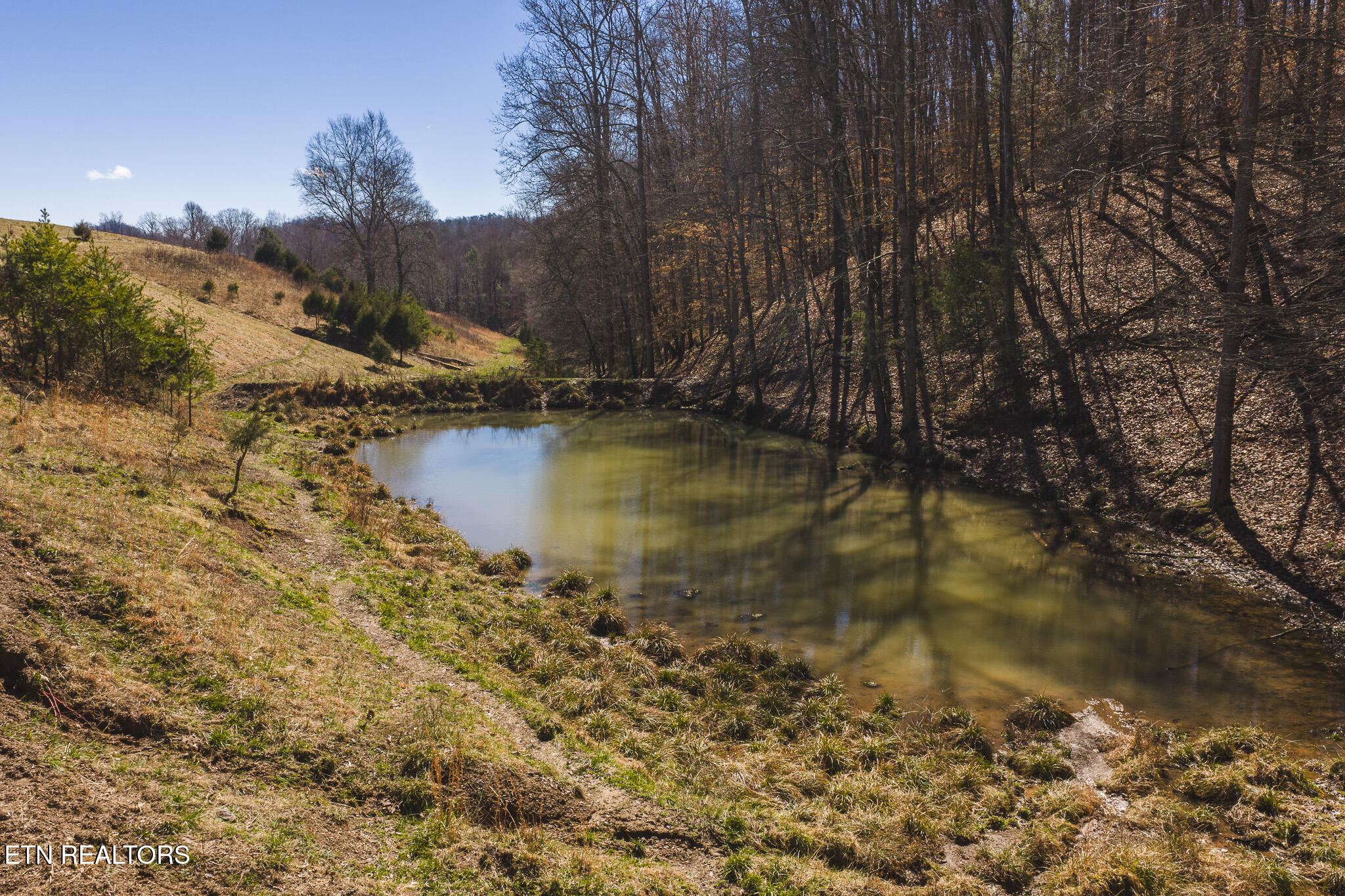 100 Acres Sutton Hollow Road Sneedville TN 37869