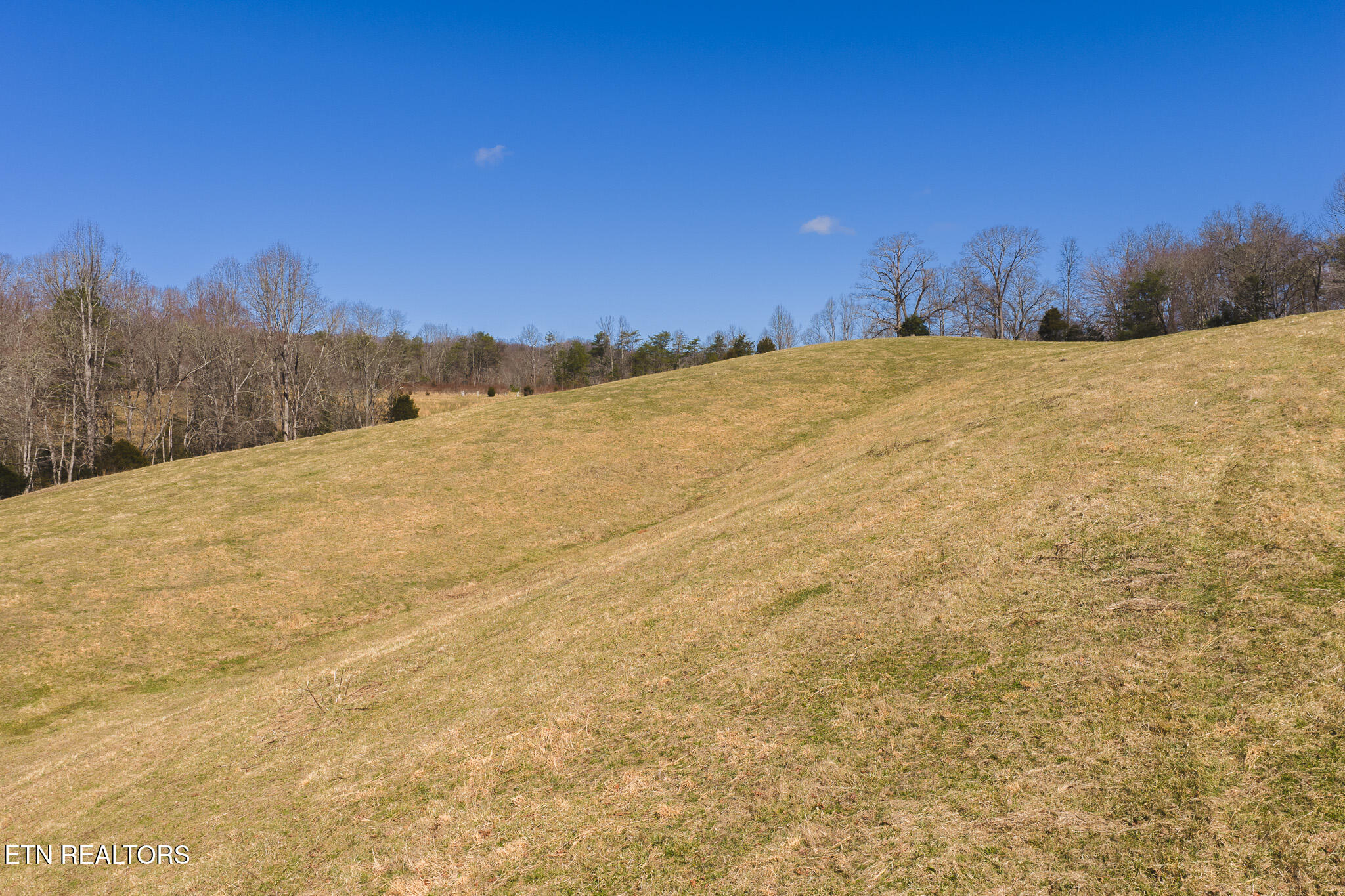 100 Acres Sutton Hollow Road Sneedville TN 37869
