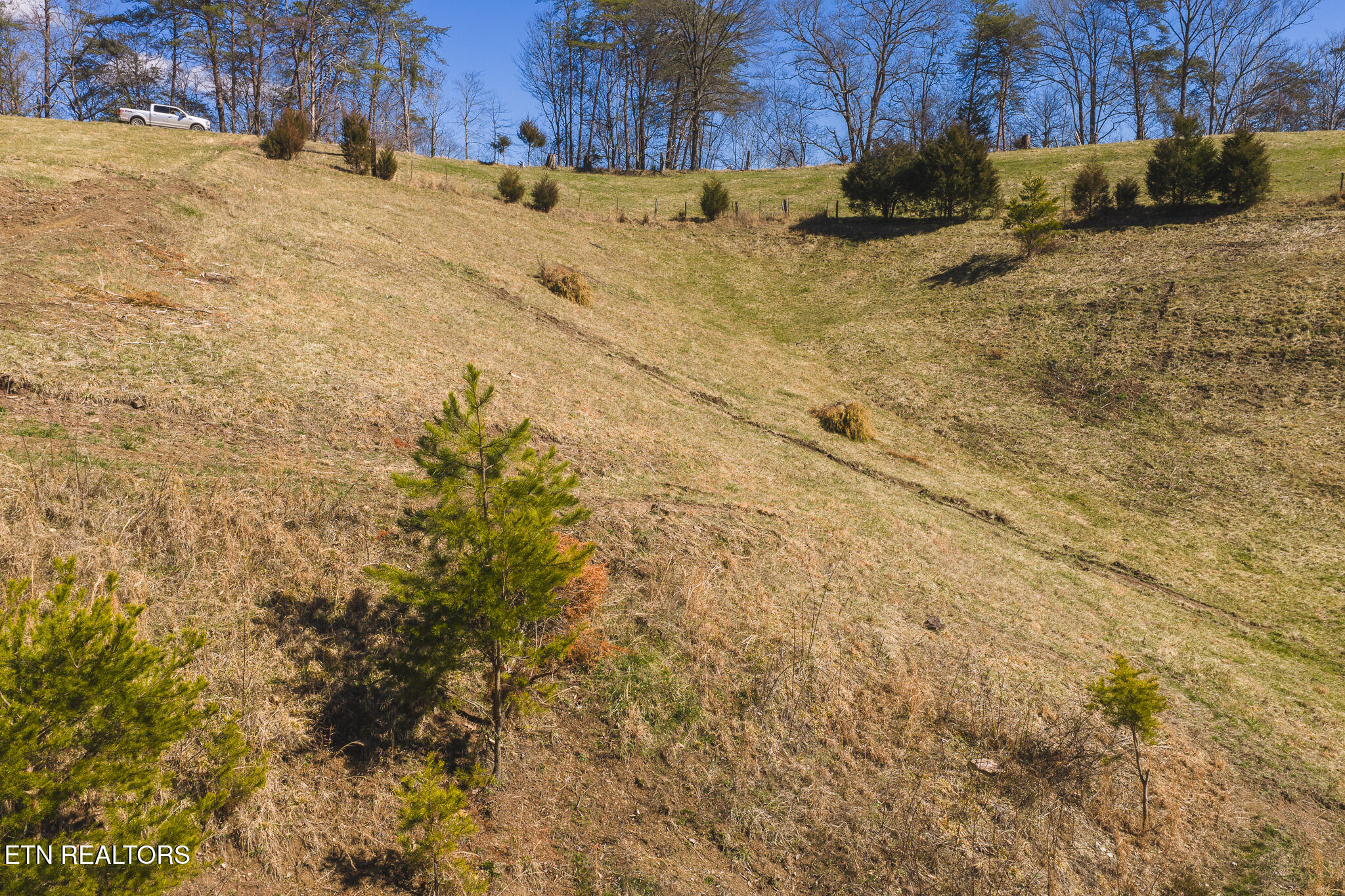 100 Acres Sutton Hollow Road Sneedville TN 37869