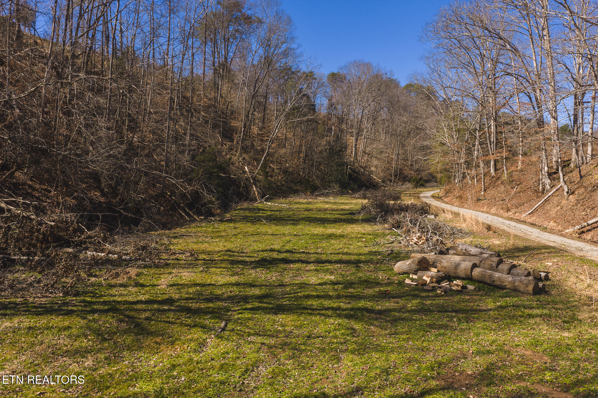 100 Acres Sutton Hollow Road Sneedville TN 37869