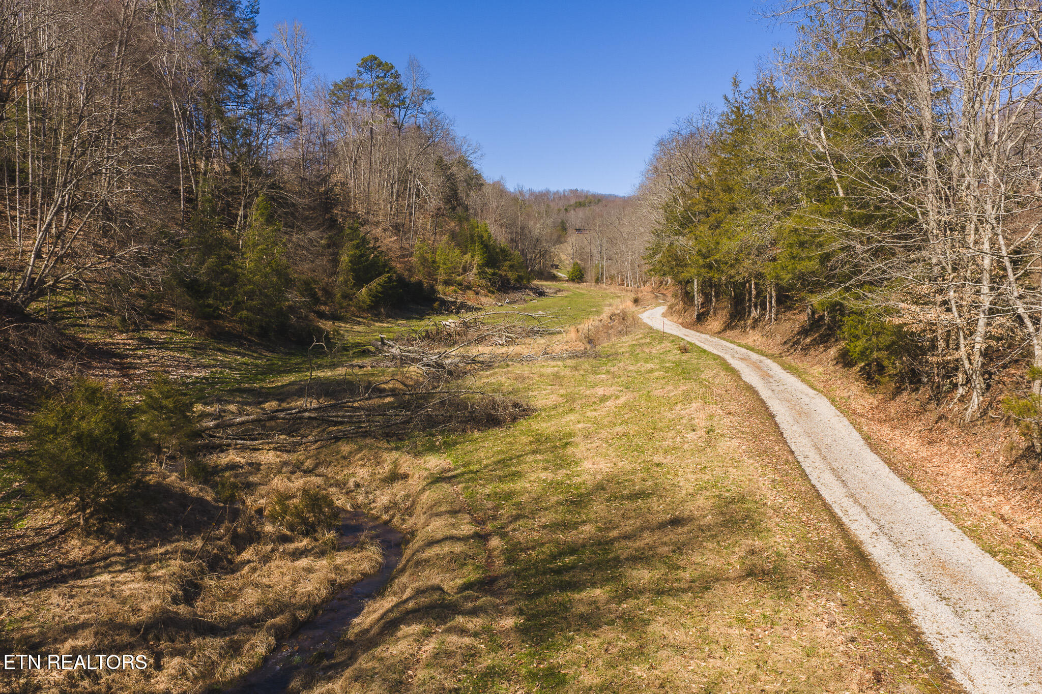 100 Acres Sutton Hollow Road Sneedville TN 37869