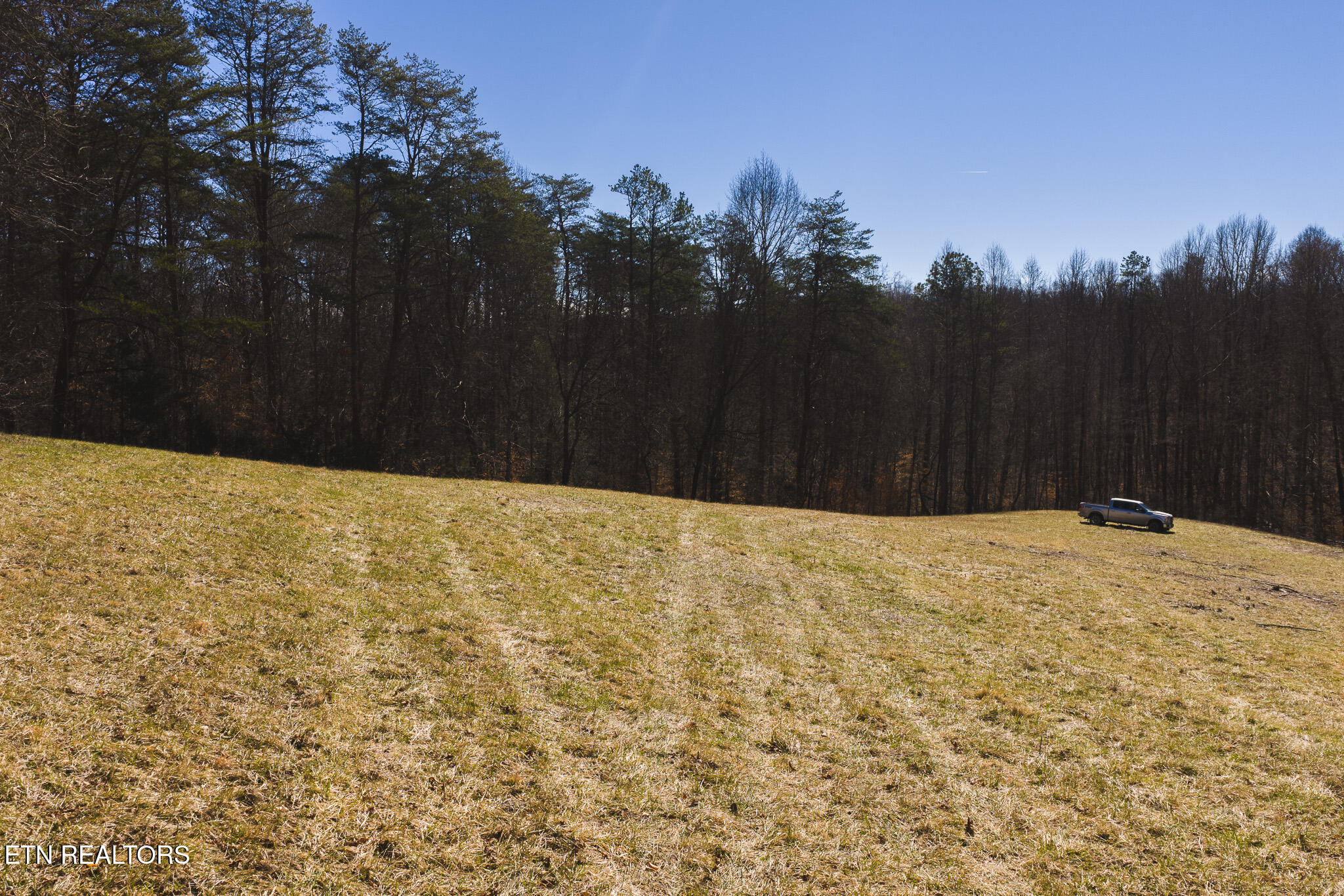 100 Acres Sutton Hollow Road Sneedville TN 37869