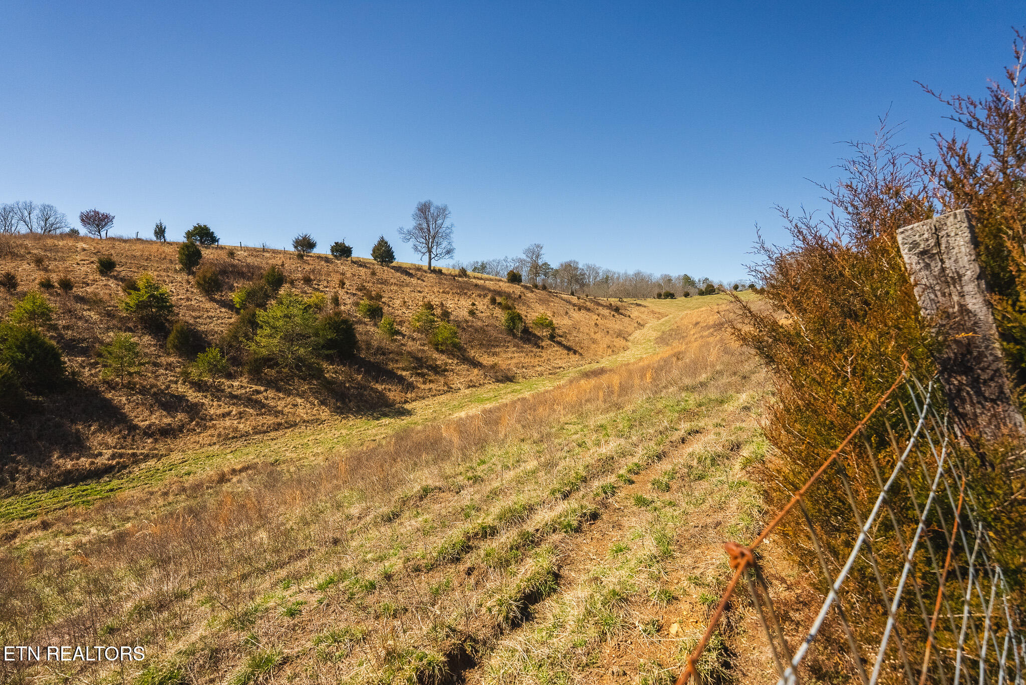 100 Acres Sutton Hollow Road Sneedville TN 37869